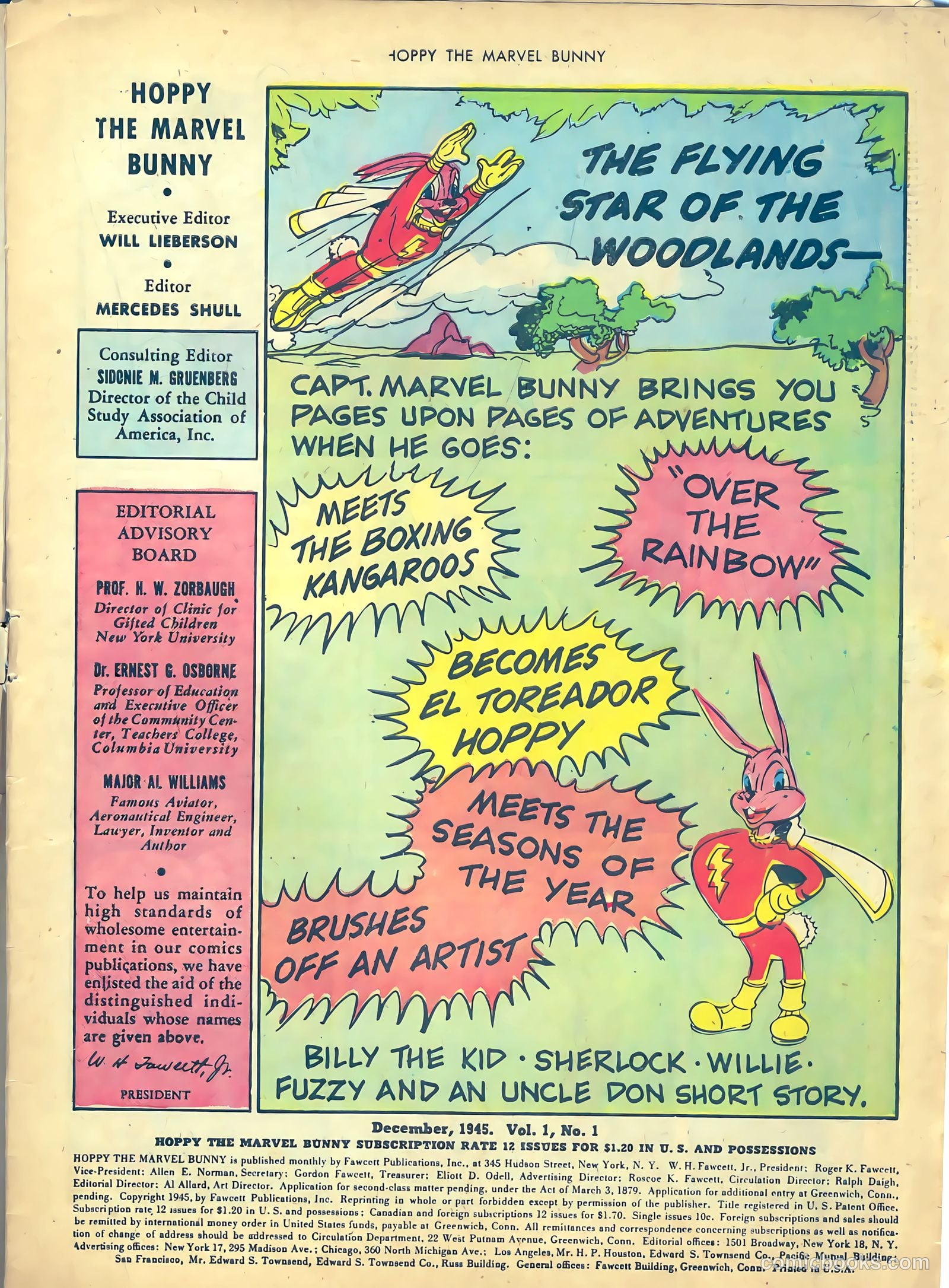 Hoppy the Marvel Bunny #1 (1945) — page 3 of 36