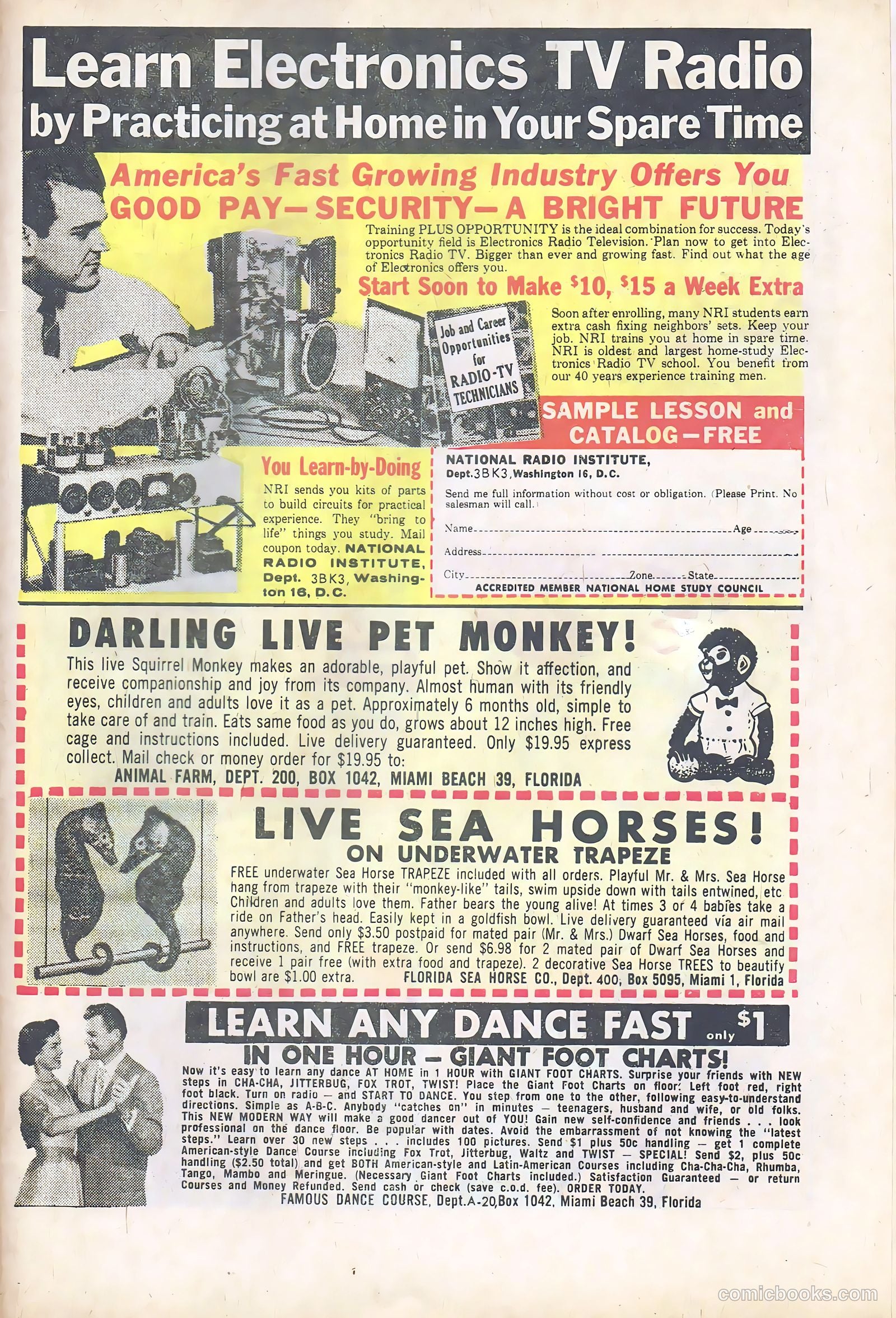 Hot Rods and Racing Cars #63 (1963) — page 31 of 36