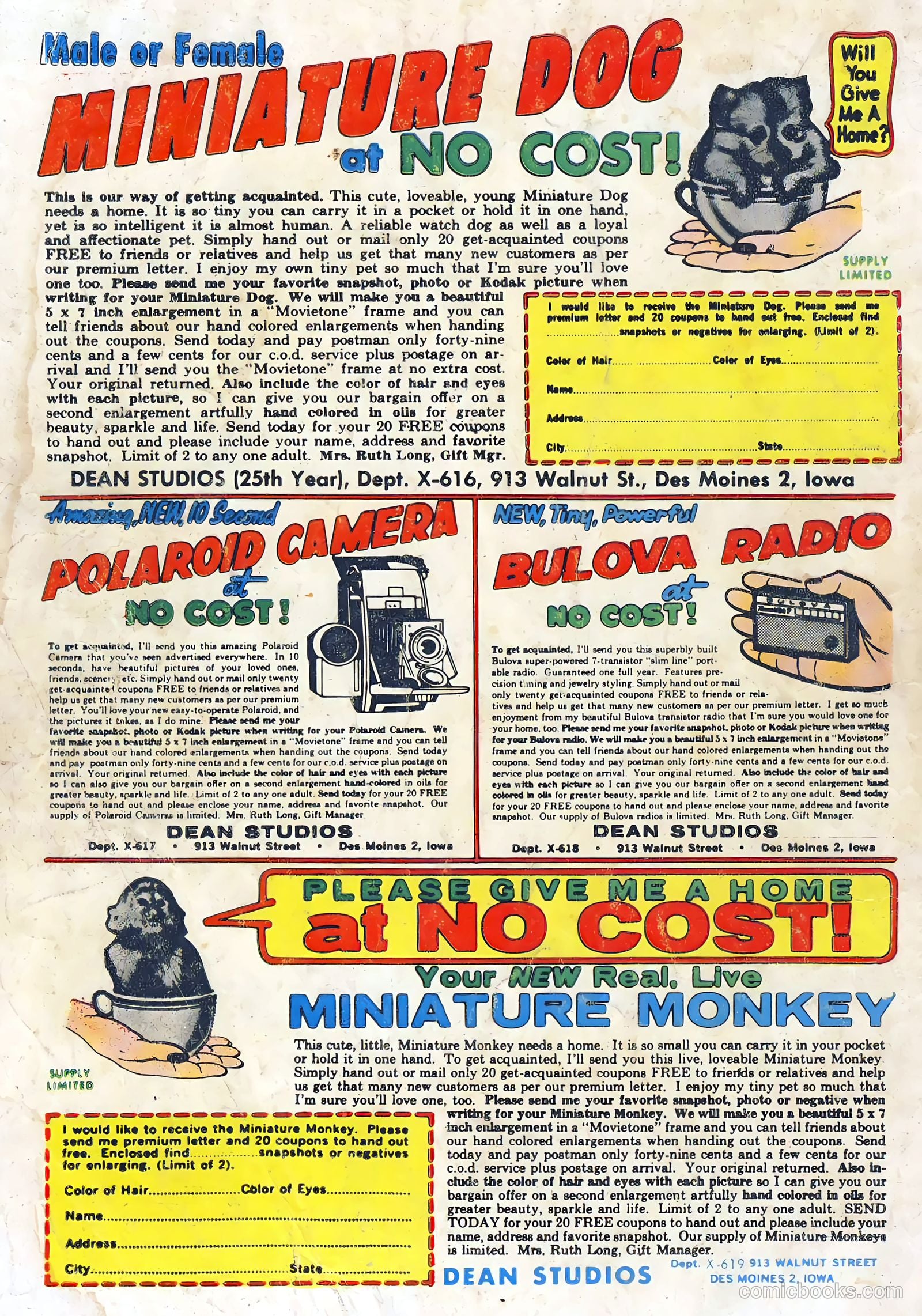 Hot Rods and Racing Cars #64 (1963) — page 36 of 36