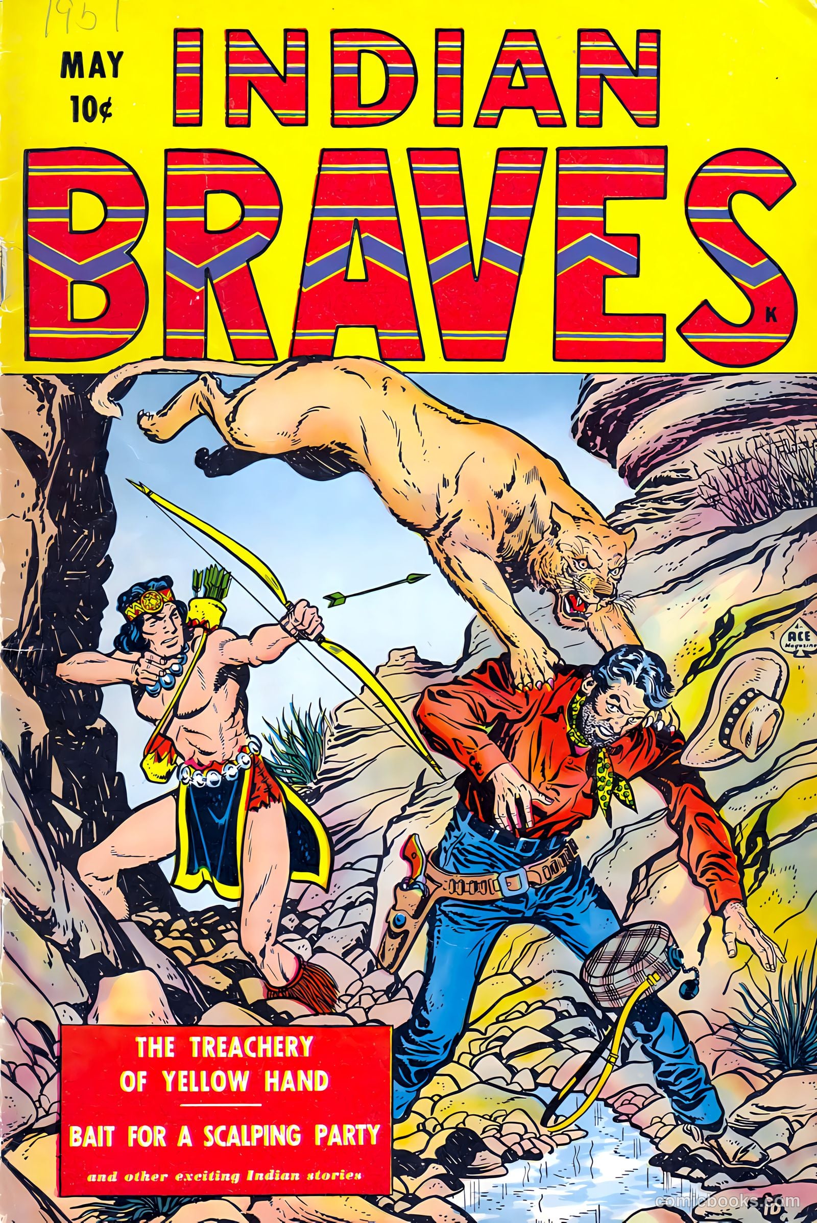 Indian Braves #2
