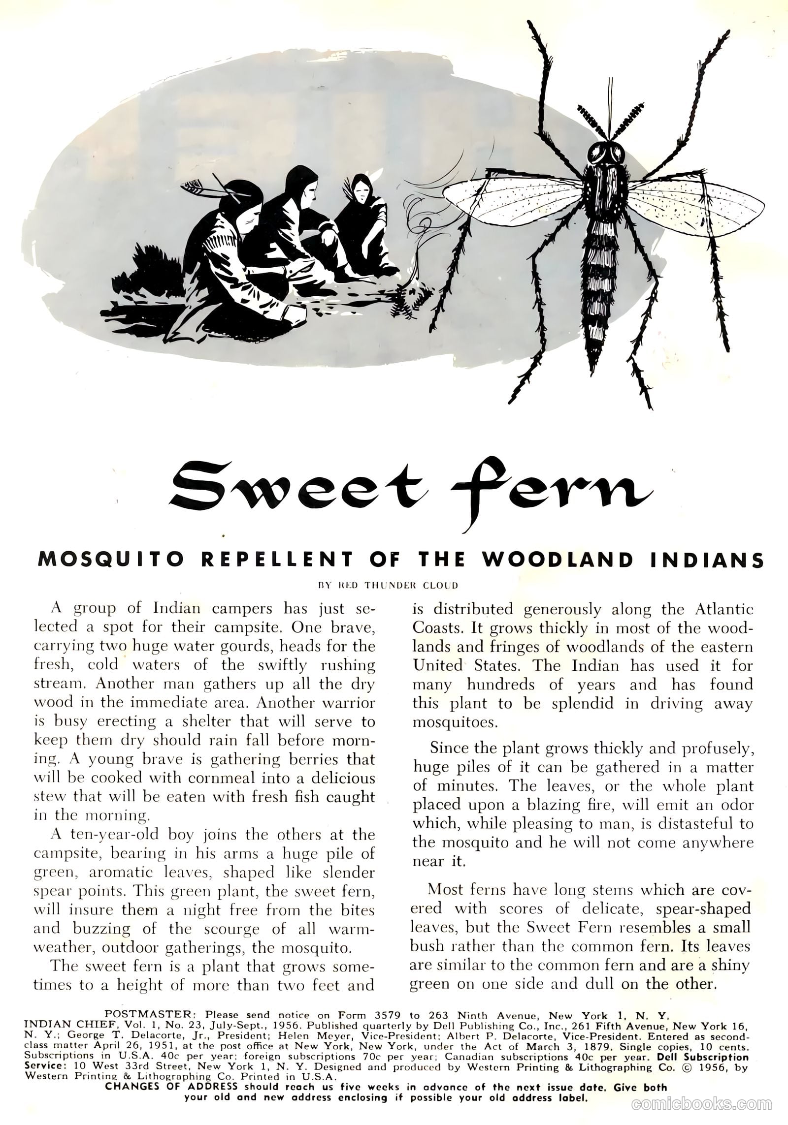 Indian Chief #23 (1956) — page 2 of 36