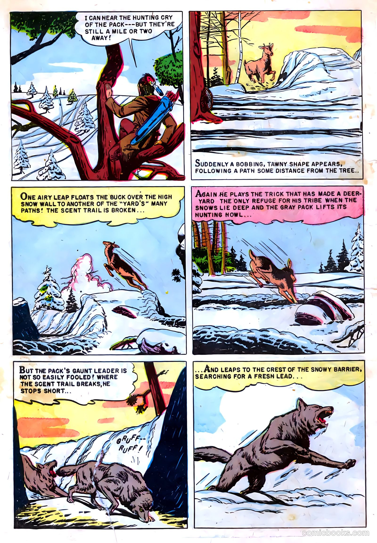 Indian Chief #3 (1951) — page 6 of 36