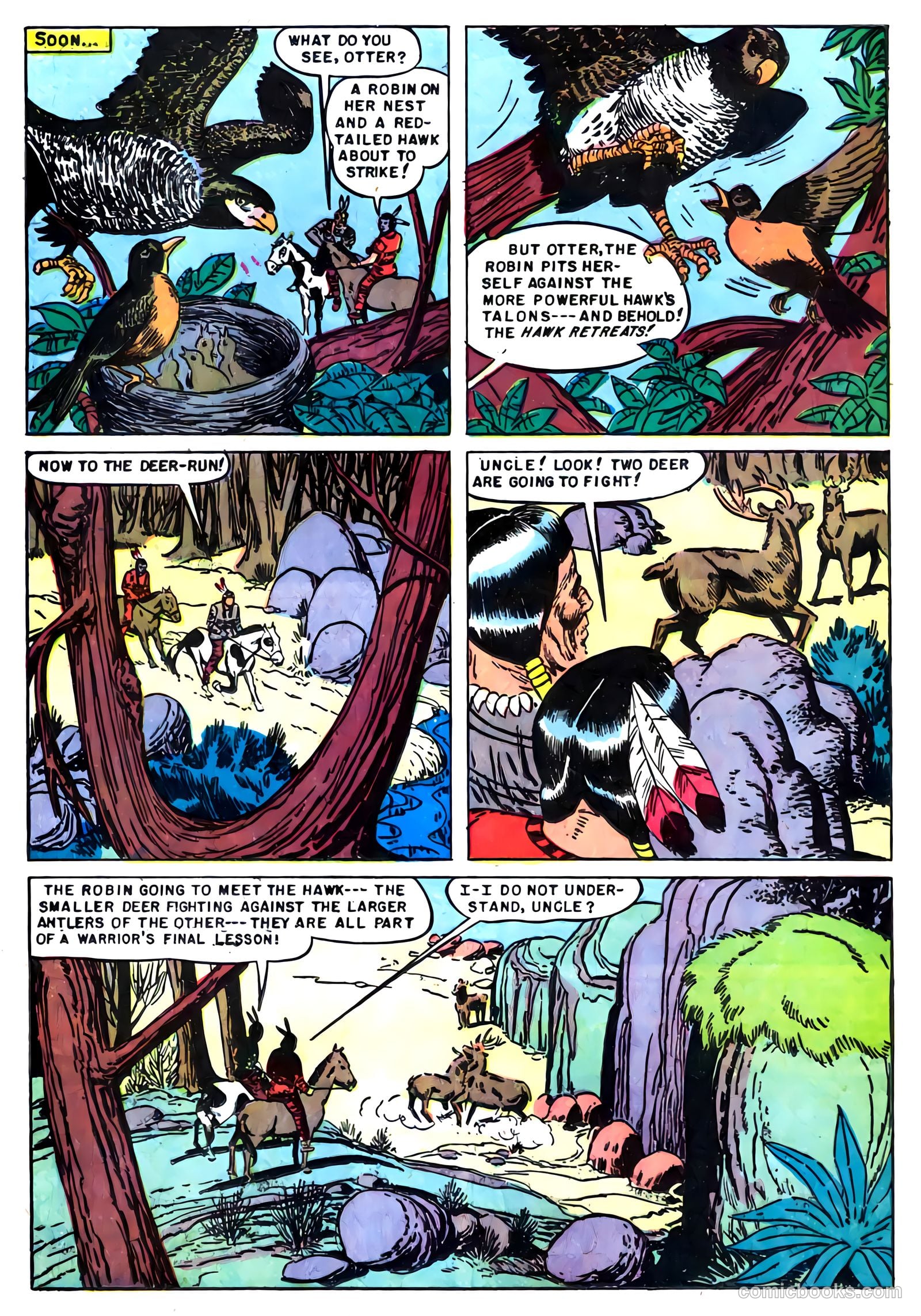 Indian Chief #7 (1952) — page 17 of 36