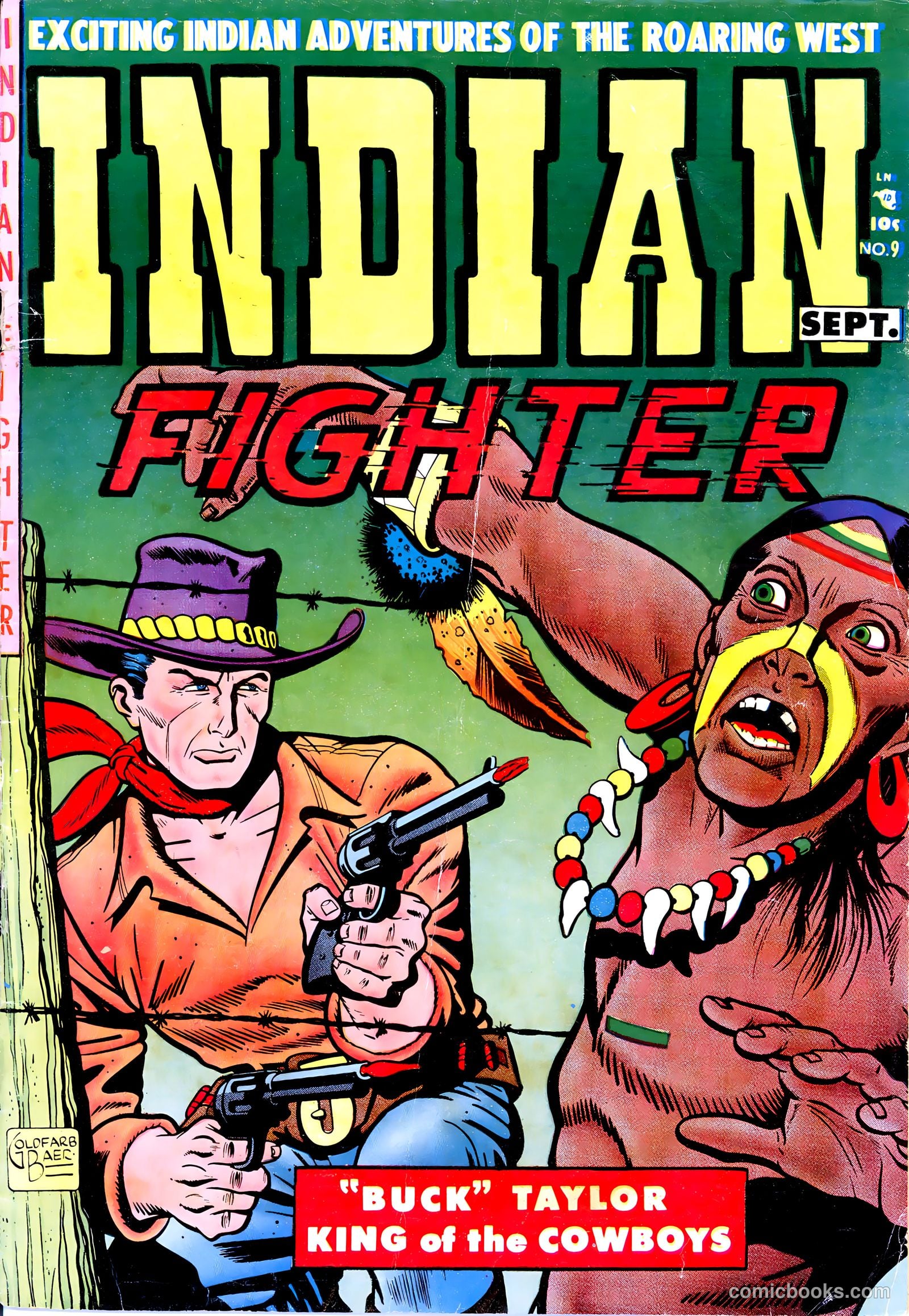 Indian Fighter #9