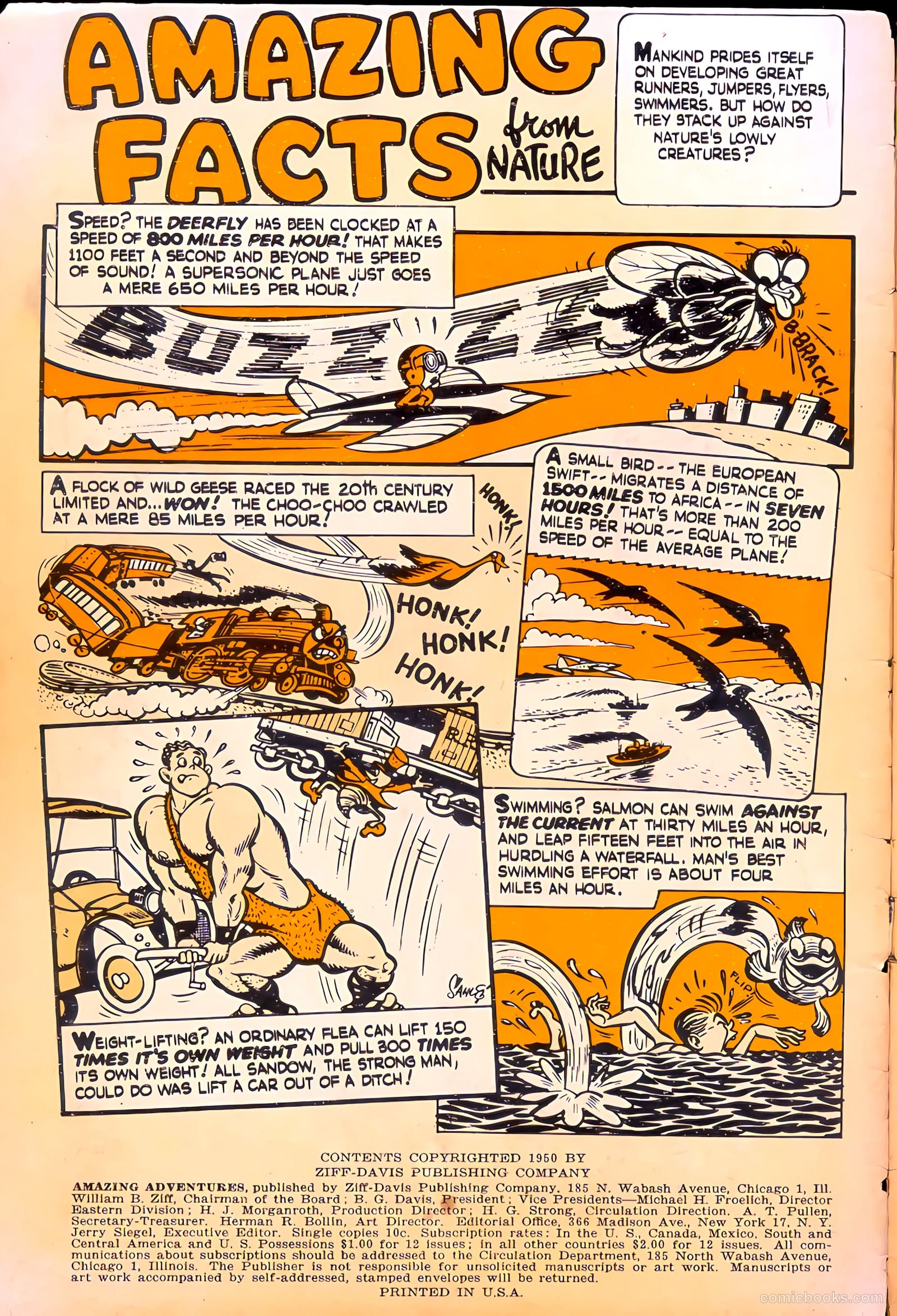 Amazing Adventures #1 (1950) — page 2 of 36