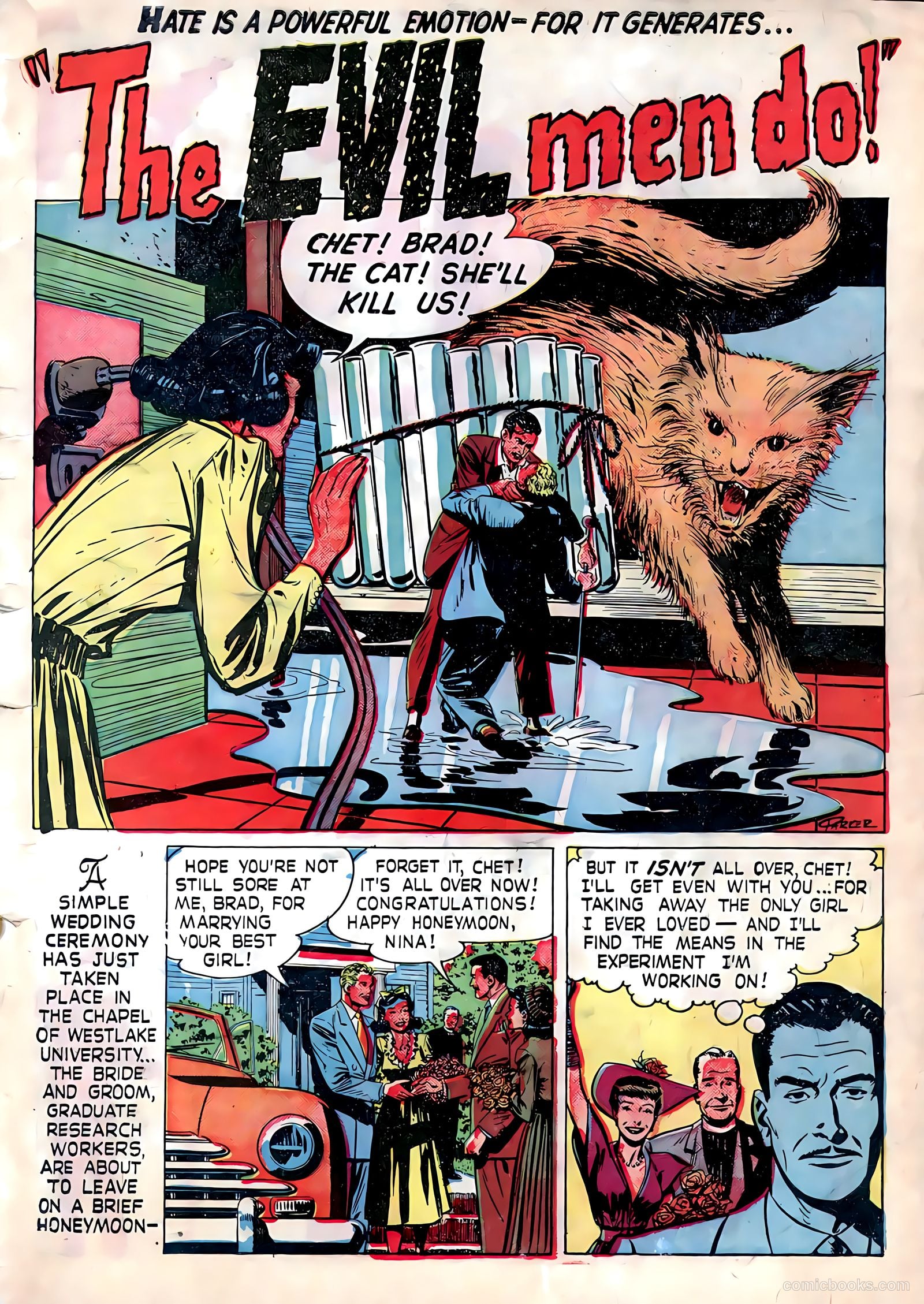 Amazing Adventures #3 (1951) — page 3 of 36