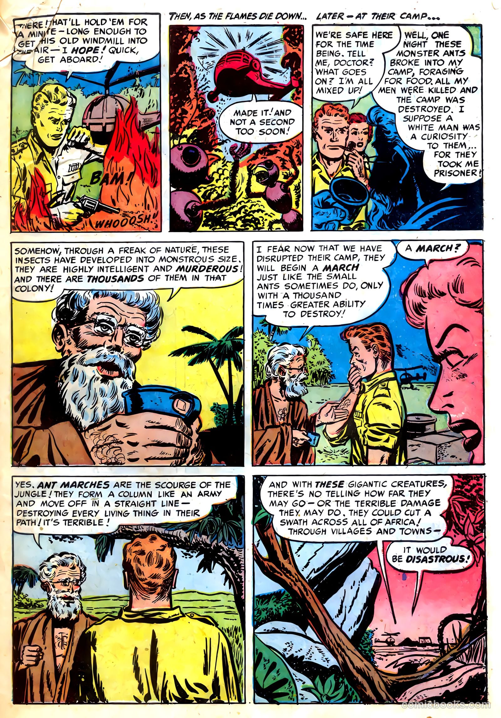 Amazing Adventures #5 (1951) — page 31 of 36