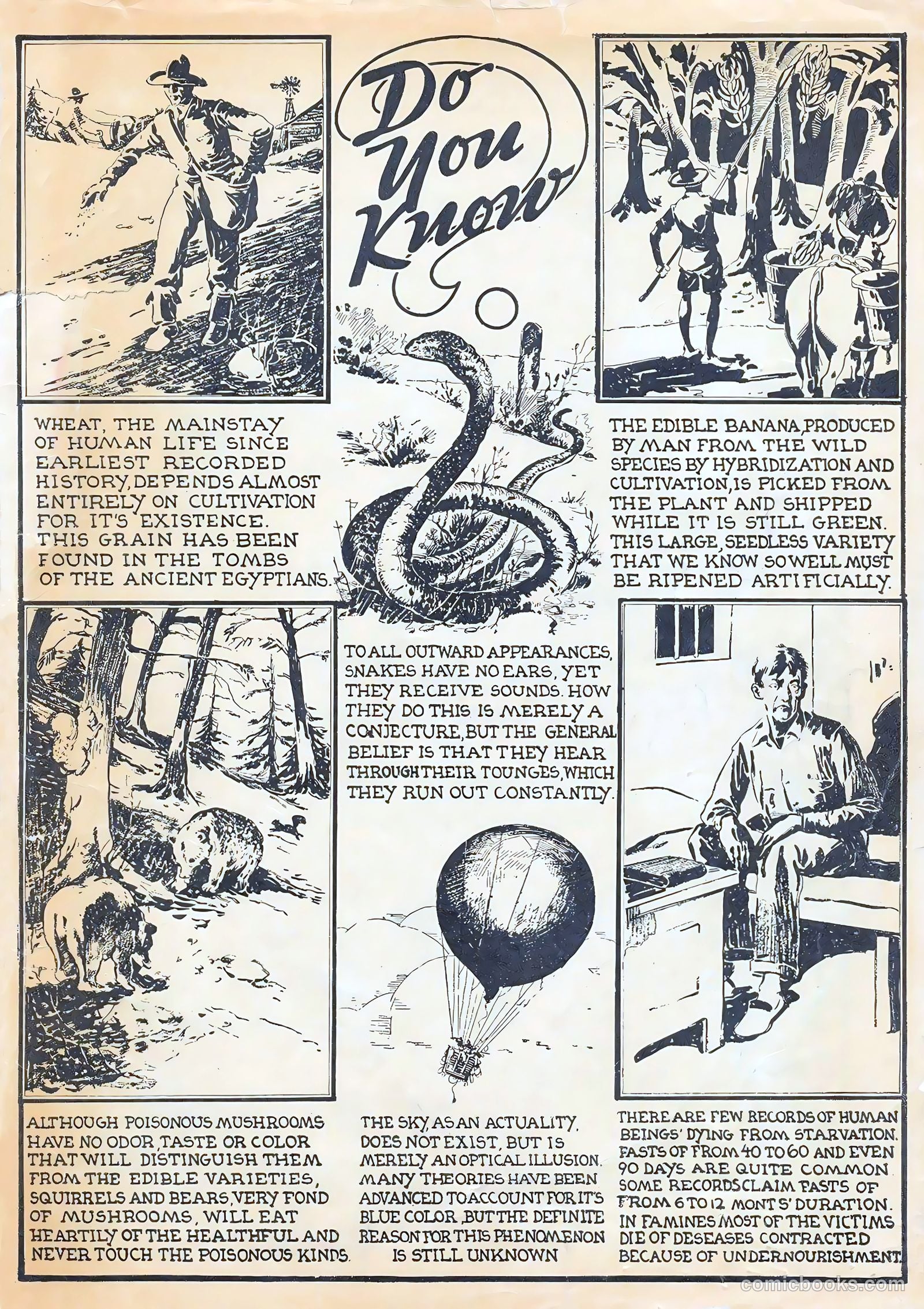 Amazing Mystery Funnies #5 (1939) — page 51 of 52
