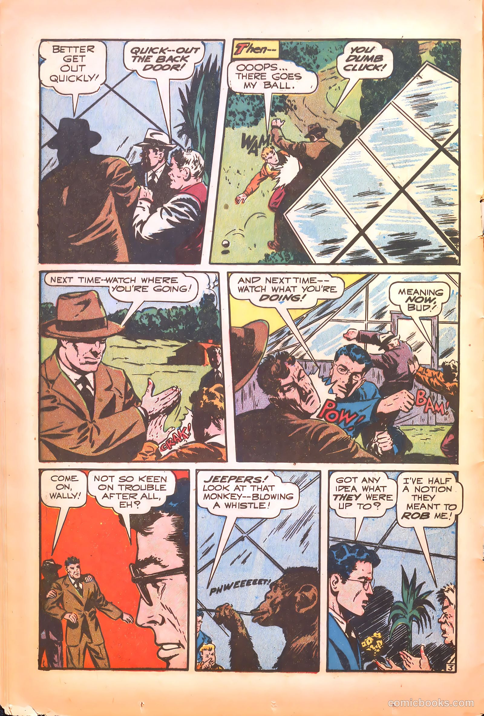 America's Best Comics #25 (1948) — page 15 of 50