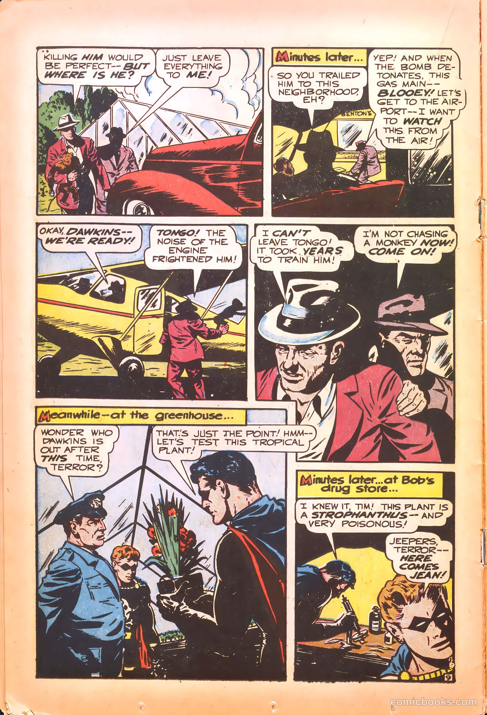 America's Best Comics #25 (1948) — page 21 of 50
