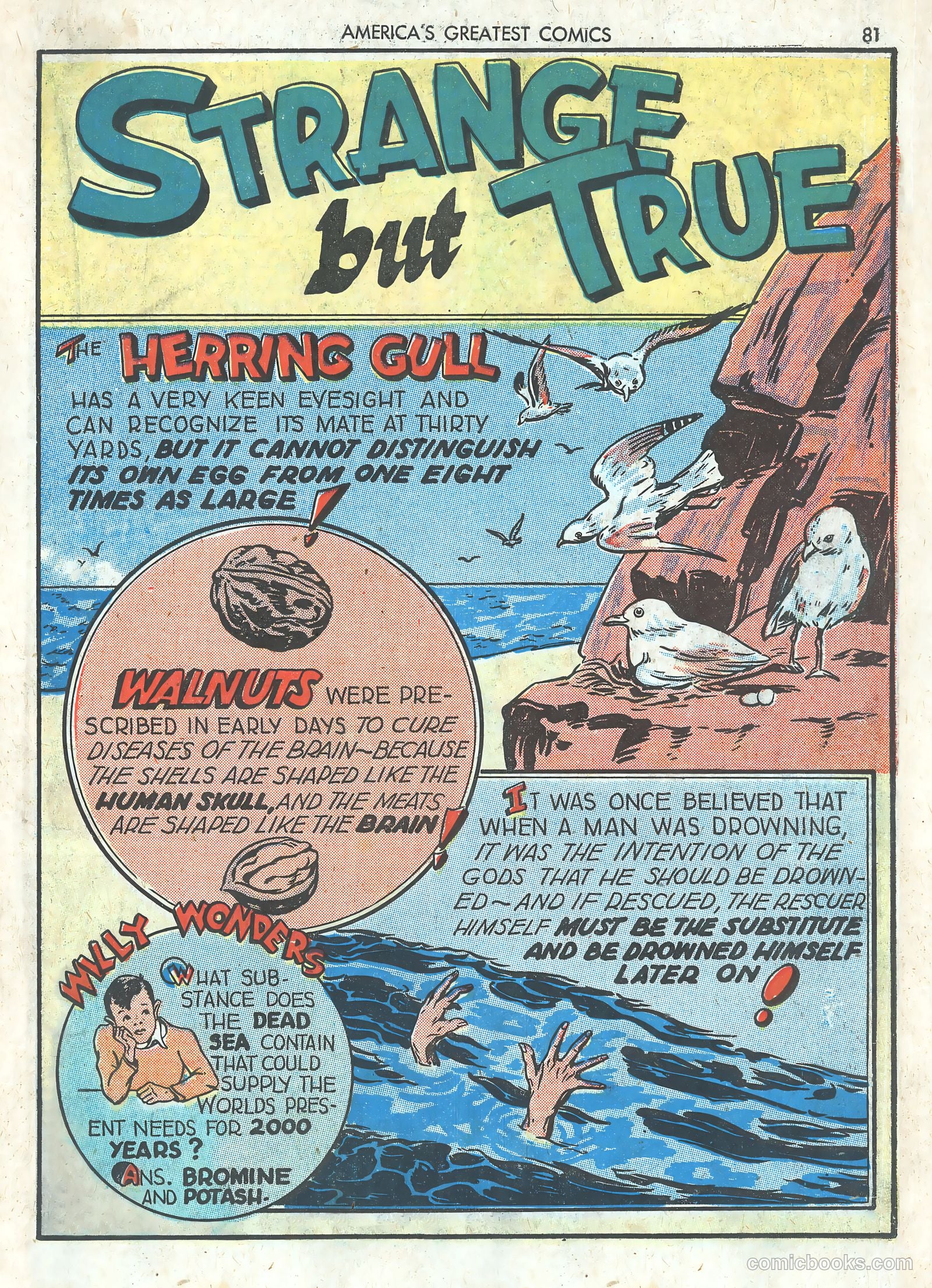 America's Greatest Comics #1 (1941) — page 83 of 101