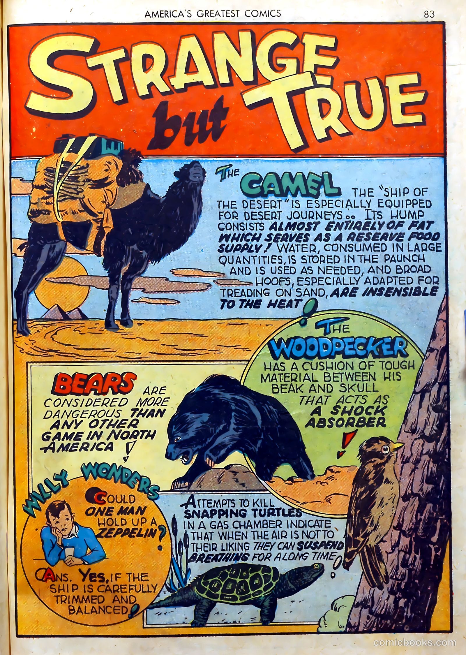 America's Greatest Comics #2 (1942) — page 83 of 100