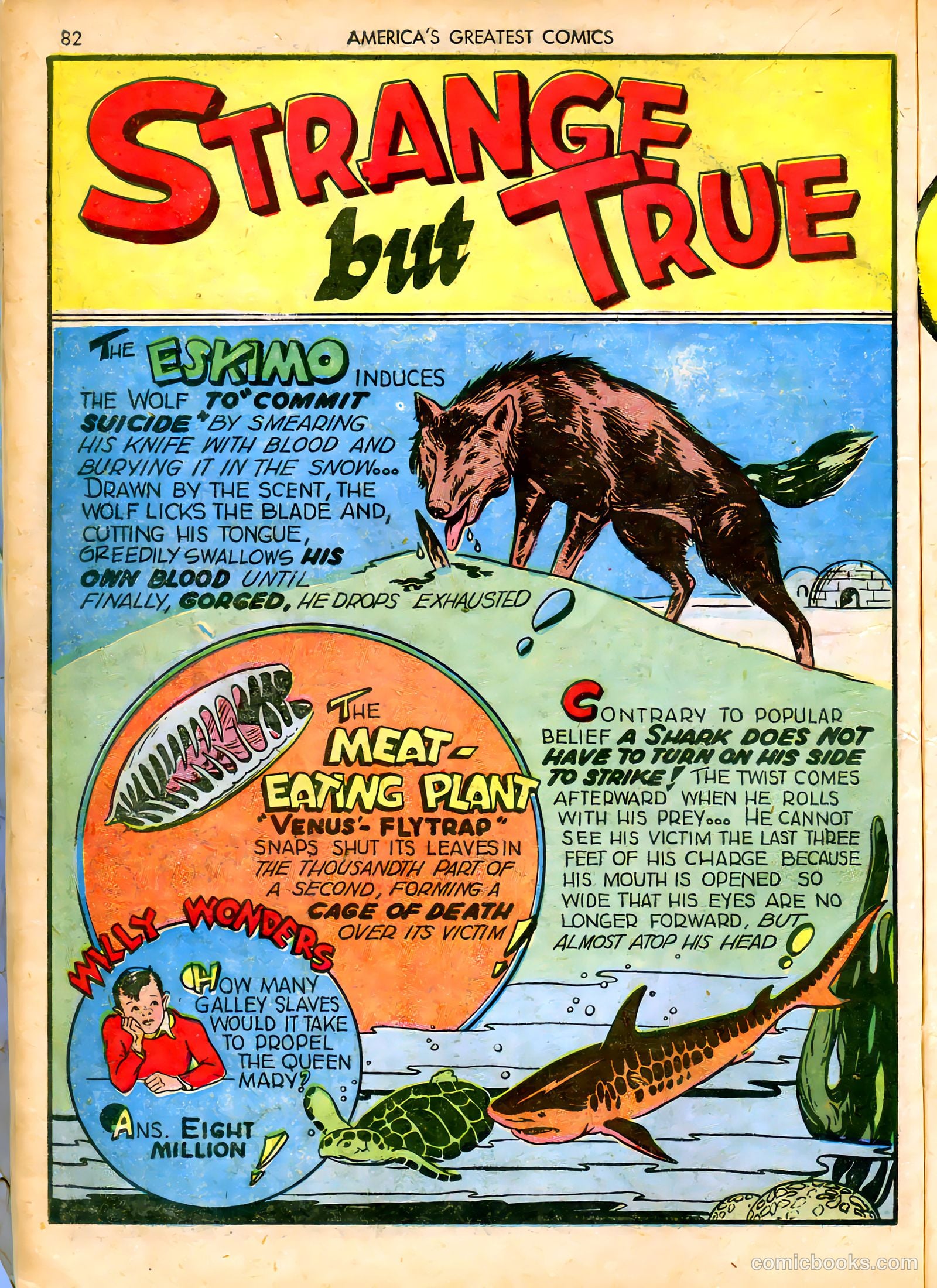 America's Greatest Comics #3 (1942) — page 83 of 101