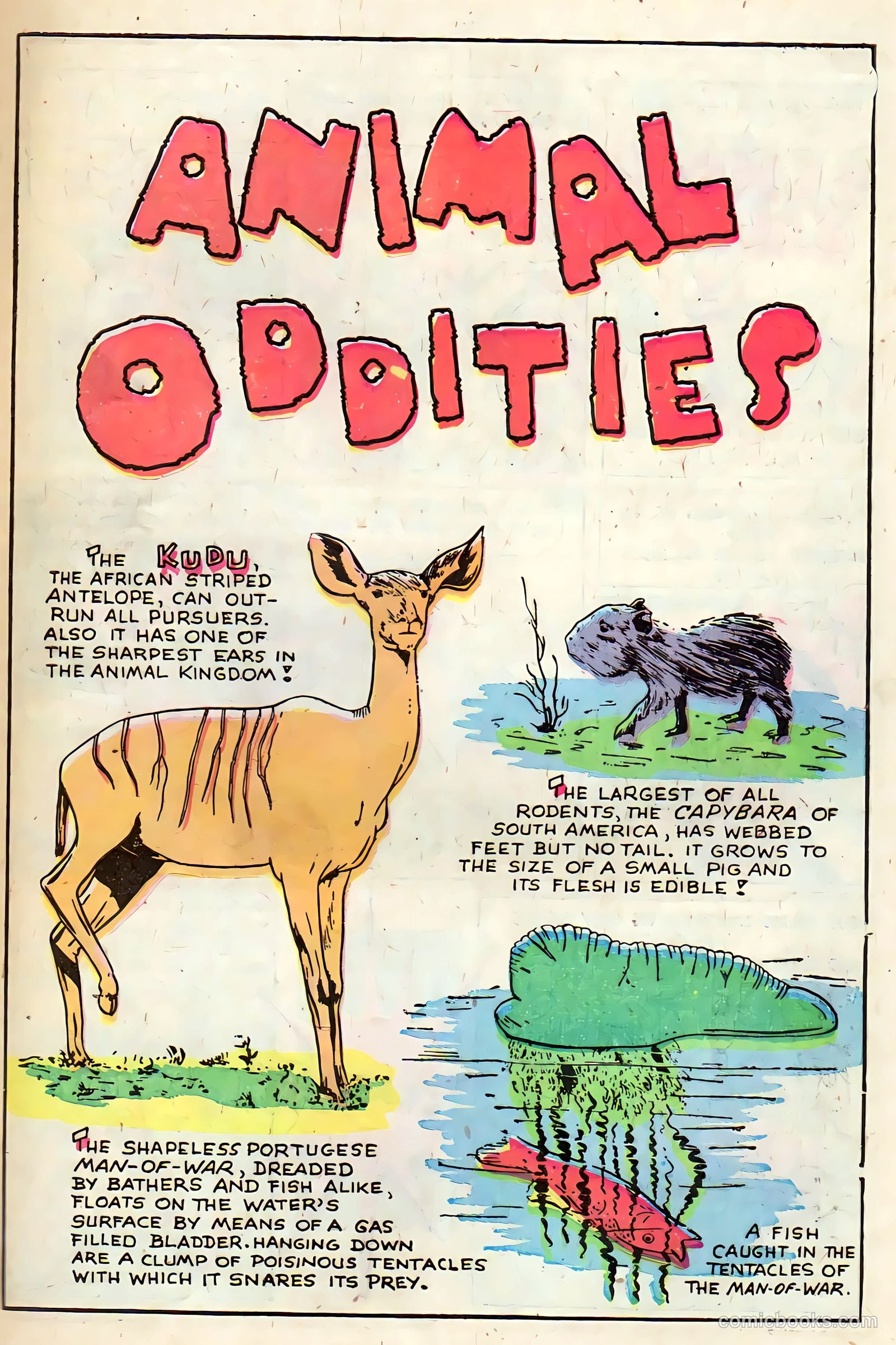 Jing-Pals Comics #3 (1947) — page 43 of 52
