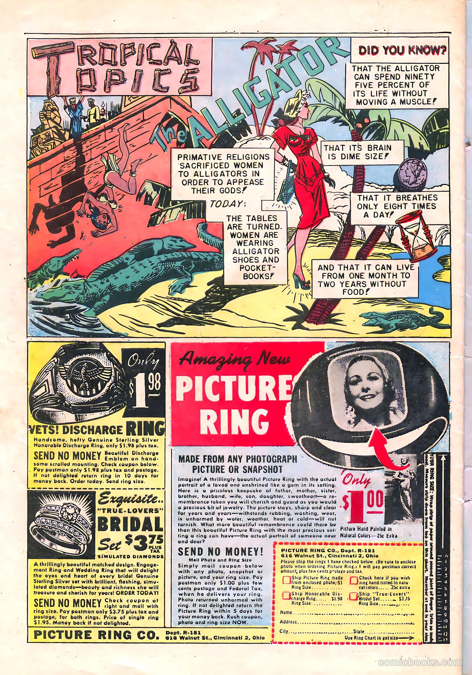 Jo-Jo Comics #8 (1947) — page 34 of 36