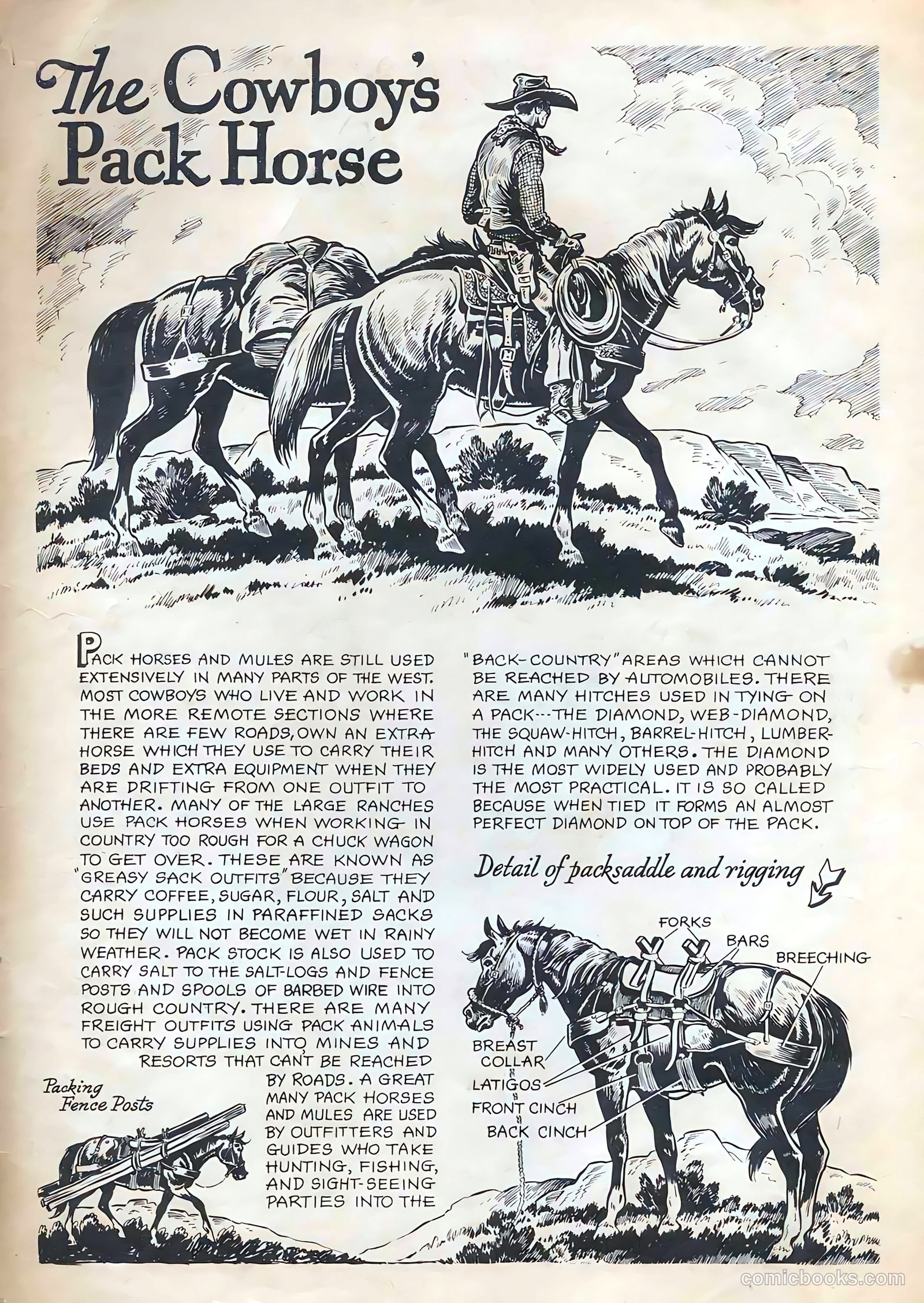 Johnny Mack Brown #6 (1951) — page 35 of 36
