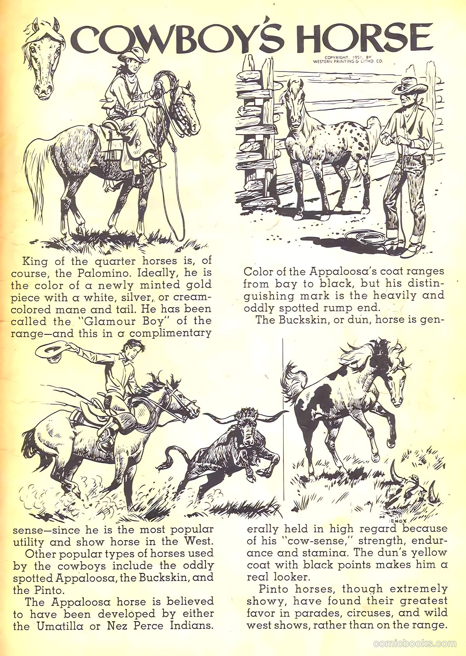 Johnny Mack Brown #7 (1951) — page 35 of 36