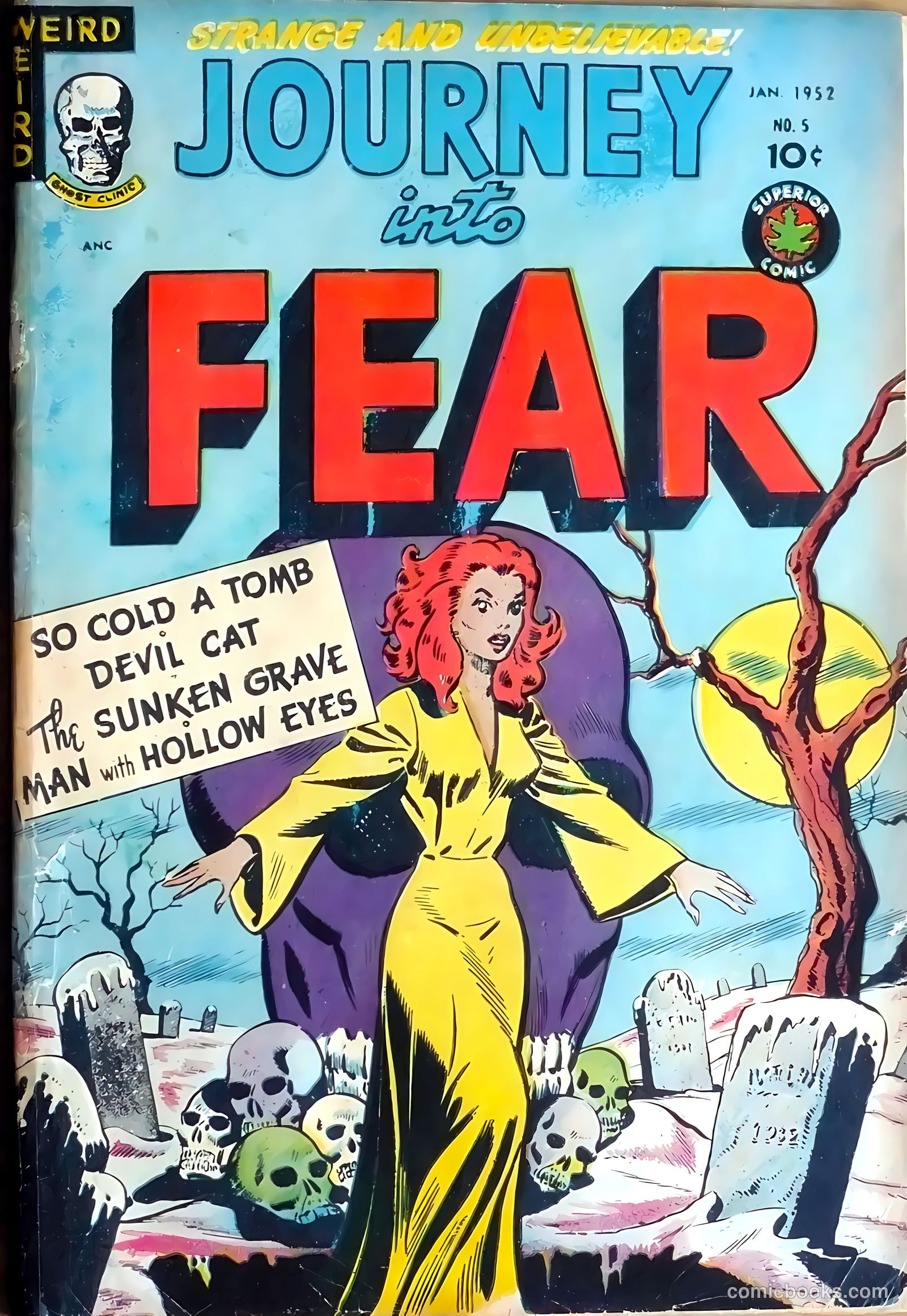 Journey into Fear #5