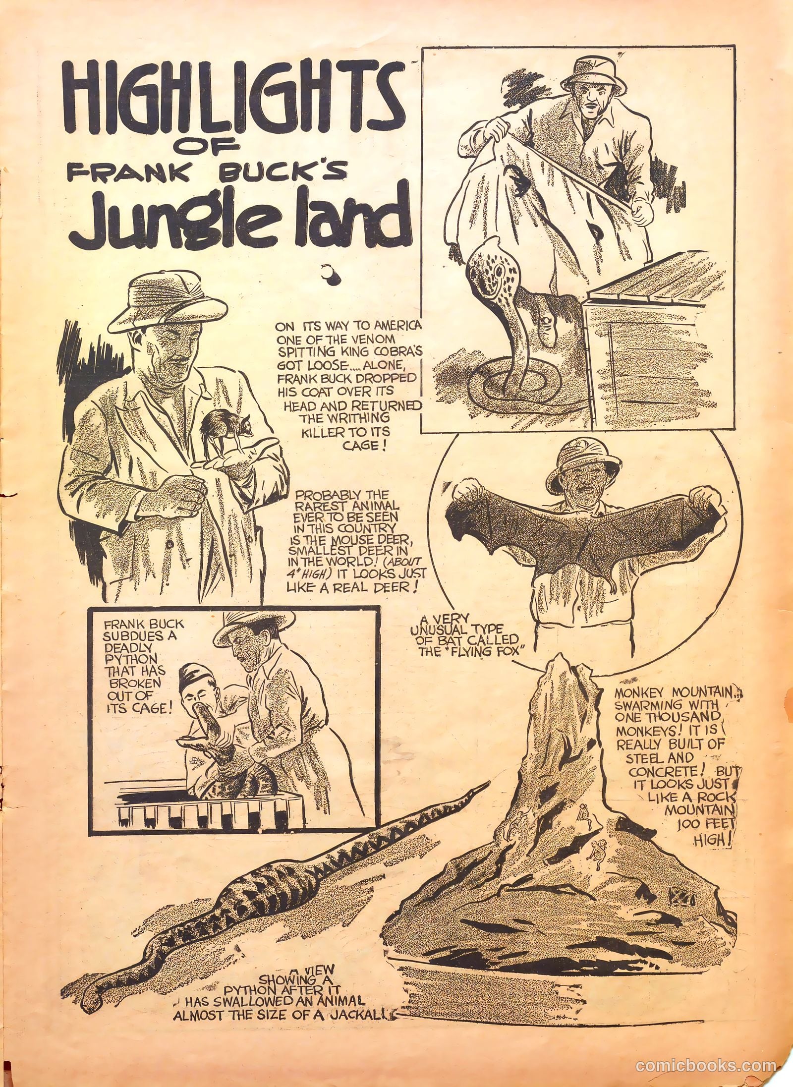 Jumbo Comics #8 (1939) — page 27 of 52
