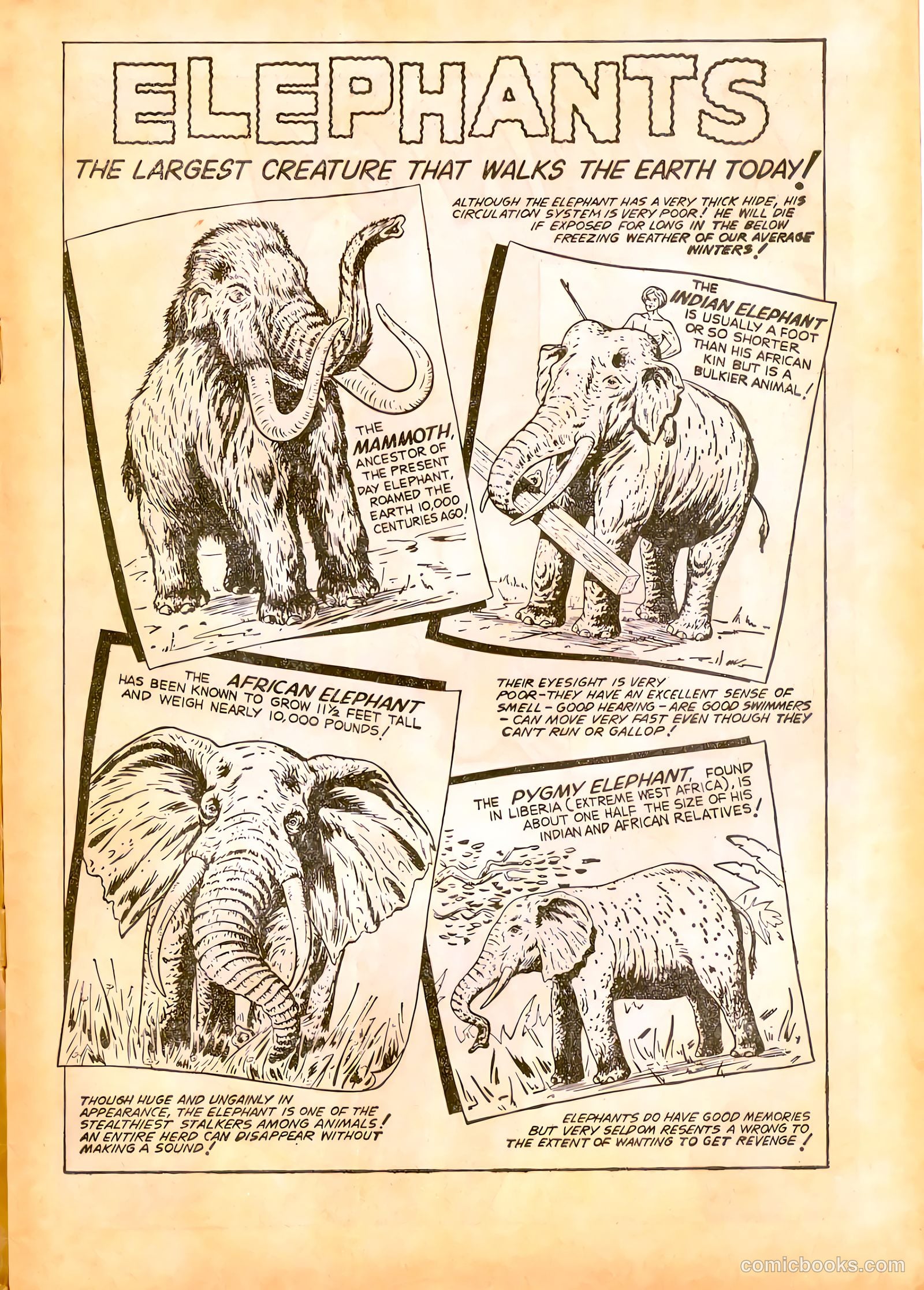 Jungle Adventures #15 (1964) — page 4 of 39