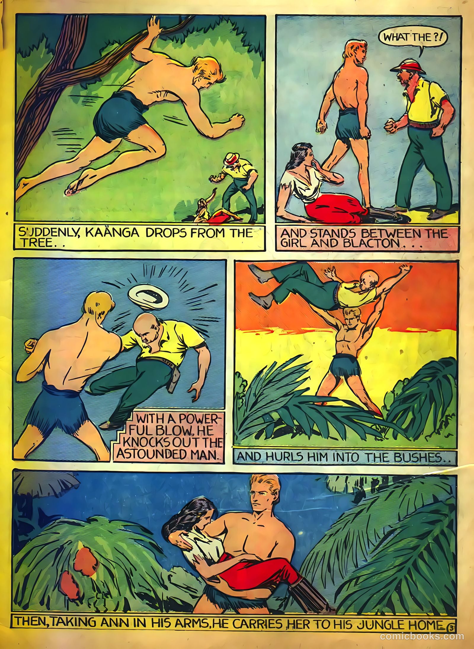 Jungle Comics #1 (1940) — page 5 of 68