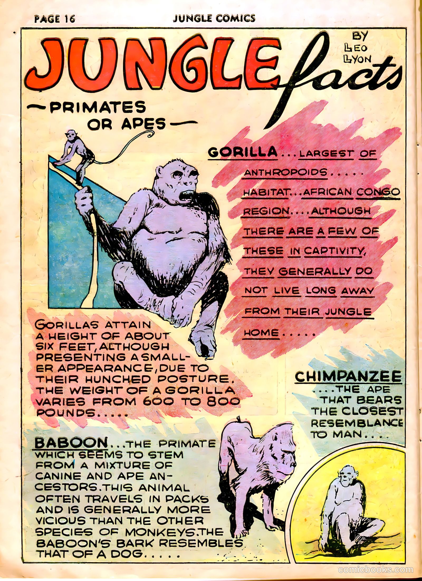 Jungle Comics #10 (1947) — page 19 of 69