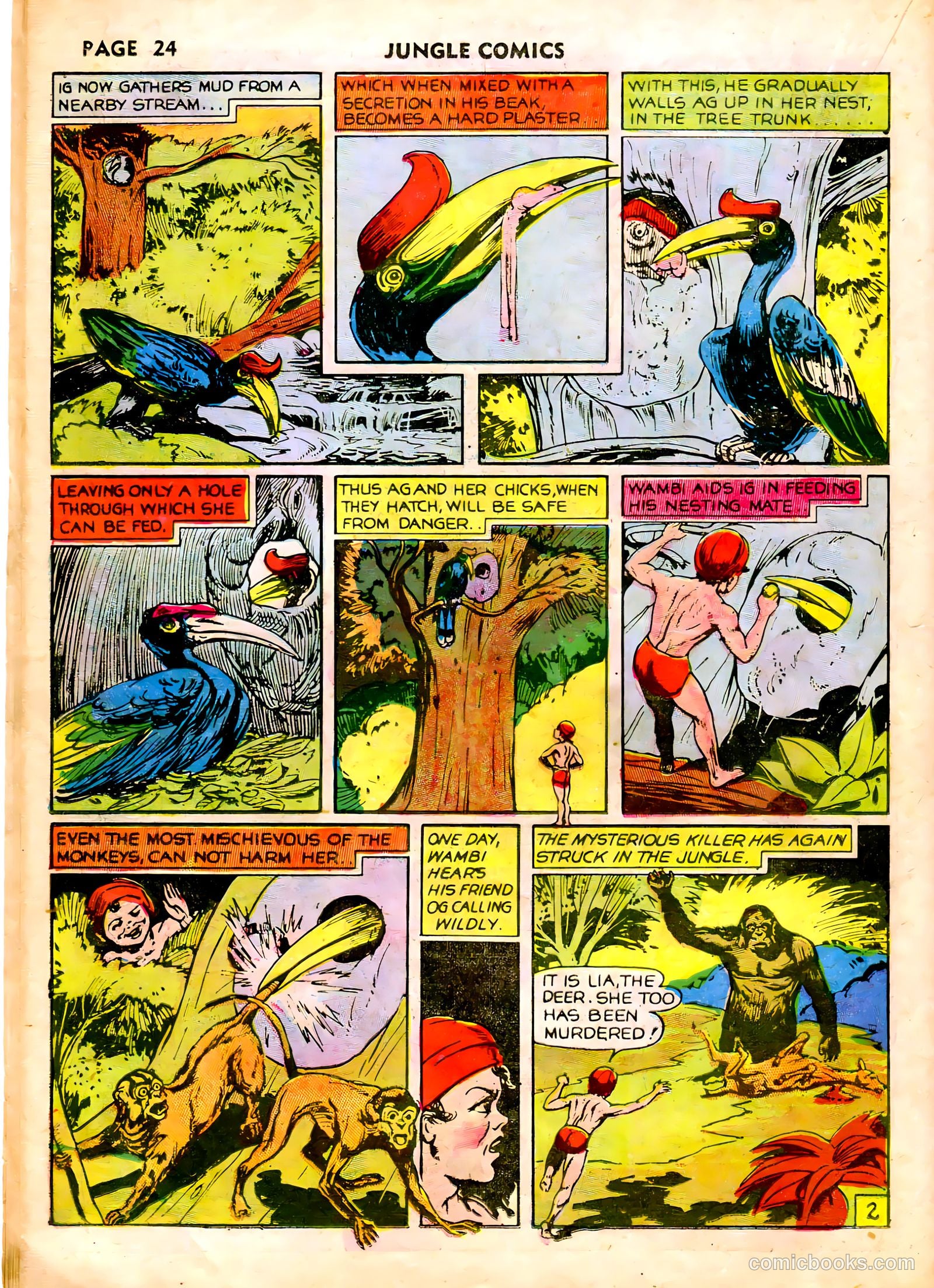 Jungle Comics #10 (1947) — page 27 of 69