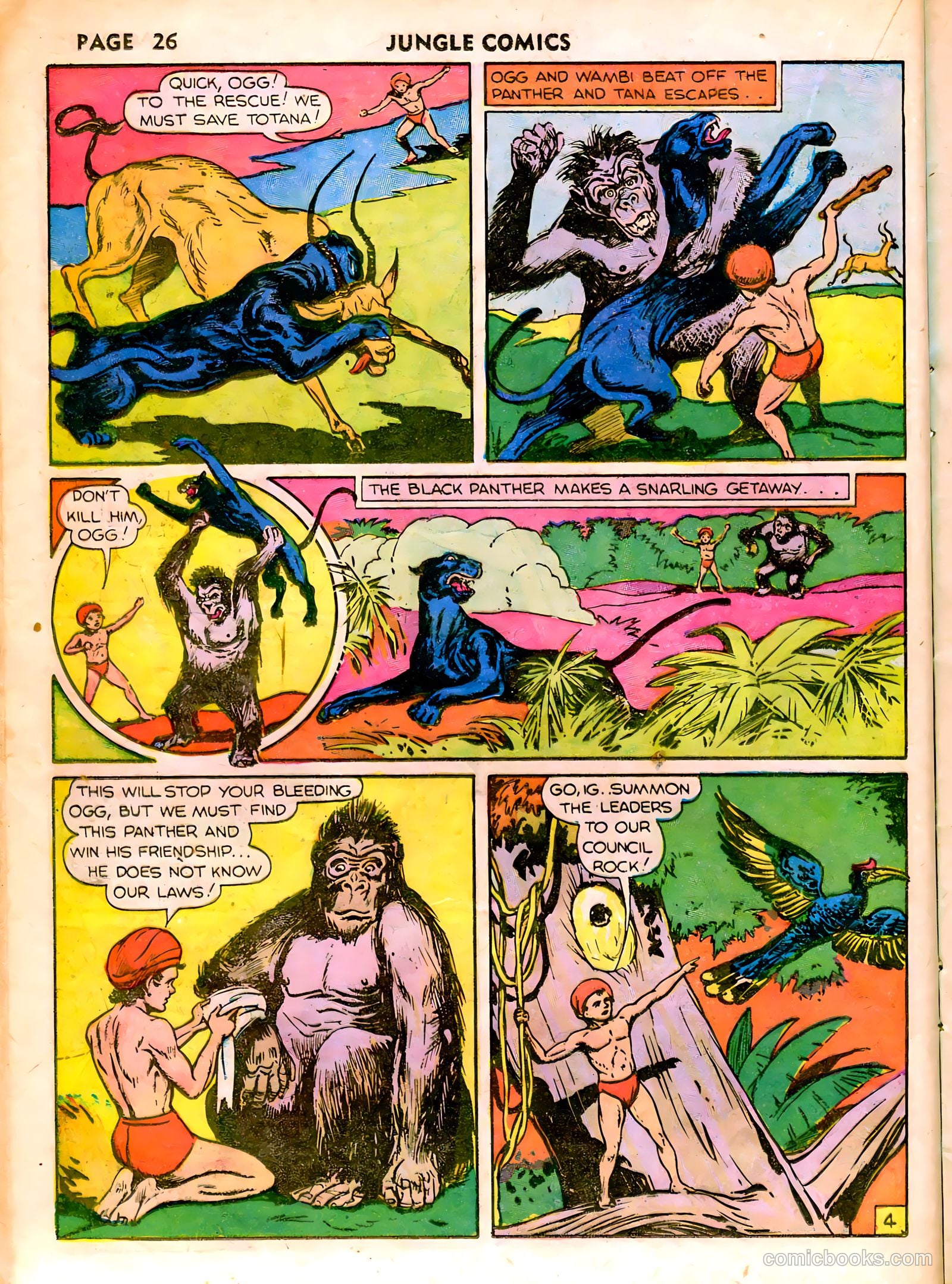 Jungle Comics #10 (1947) — page 29 of 69