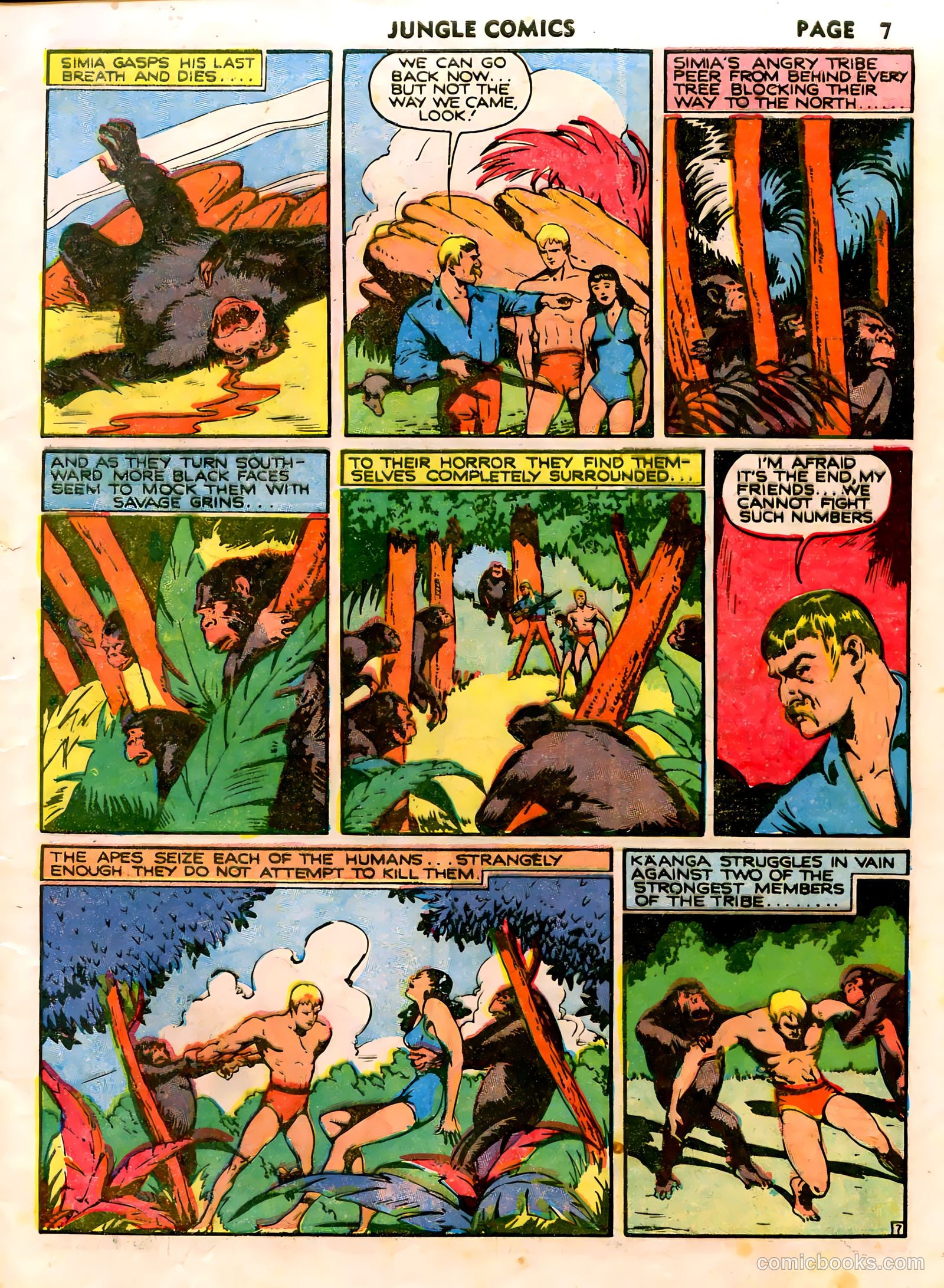Jungle Comics #14 (1941) — page 9 of 68