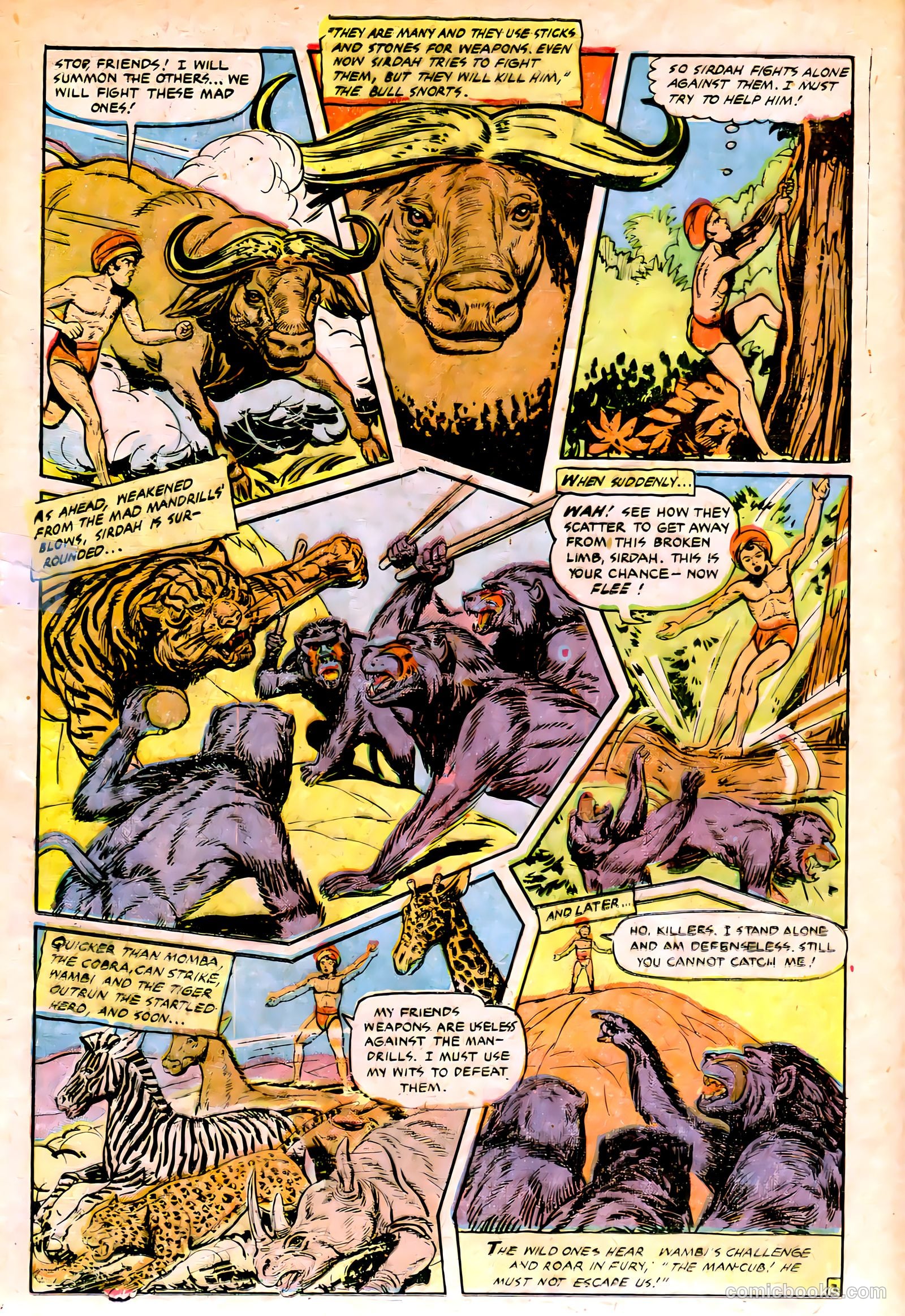 Jungle Comics #141 (1951) — page 16 of 36