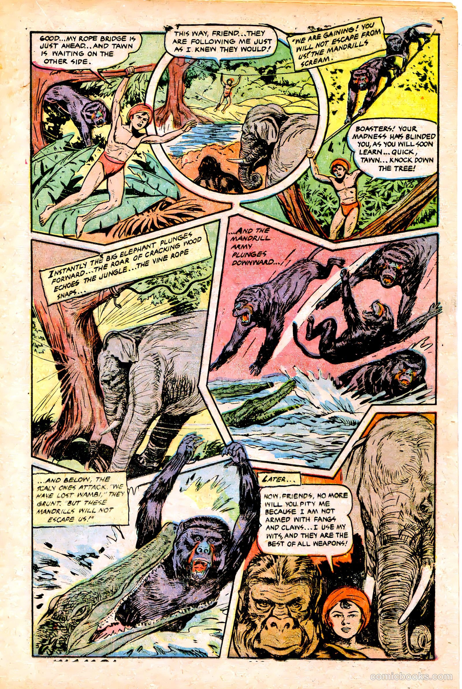Jungle Comics #141 (1951) — page 17 of 36
