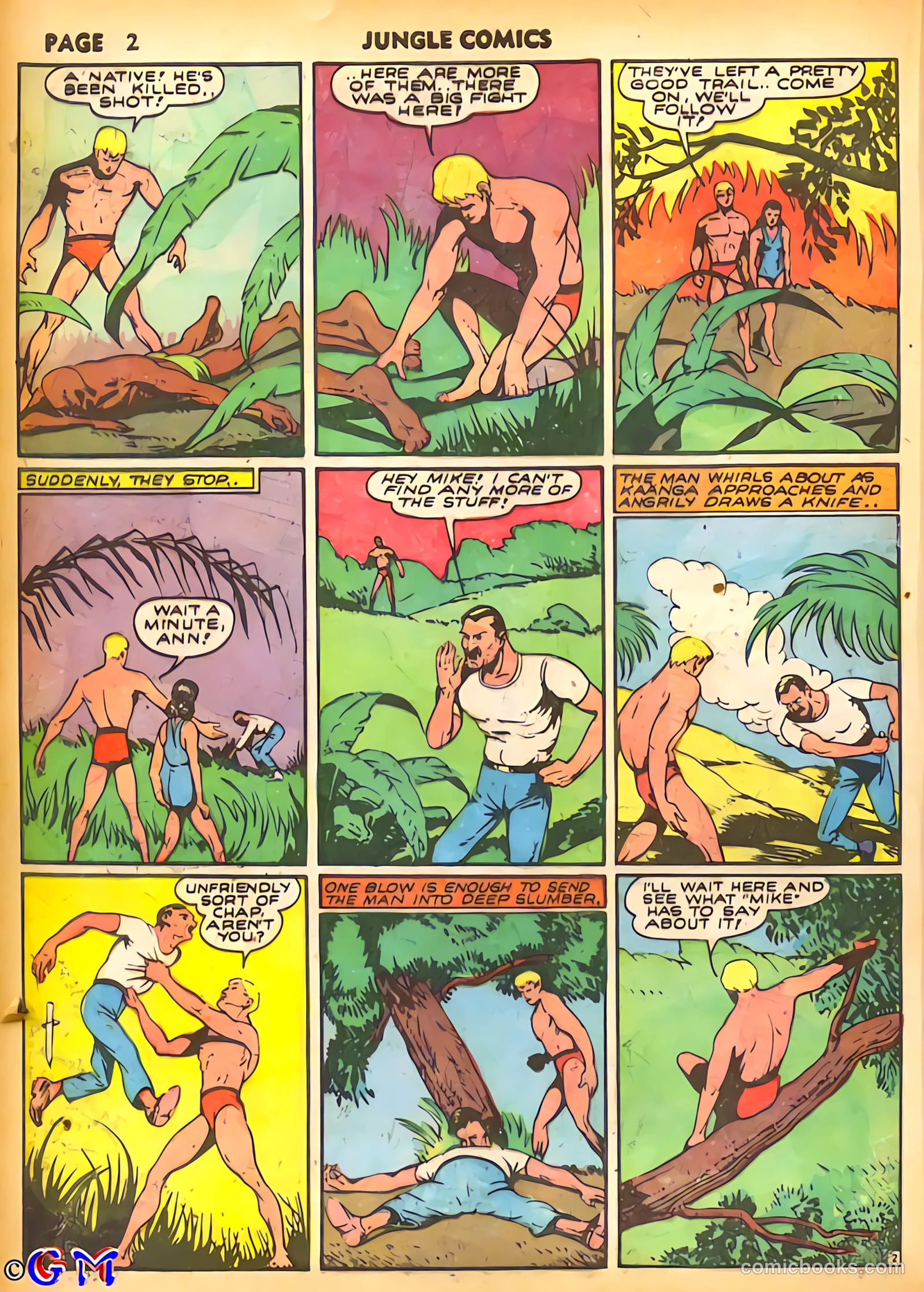 Jungle Comics #15 (1941) — page 5 of 69
