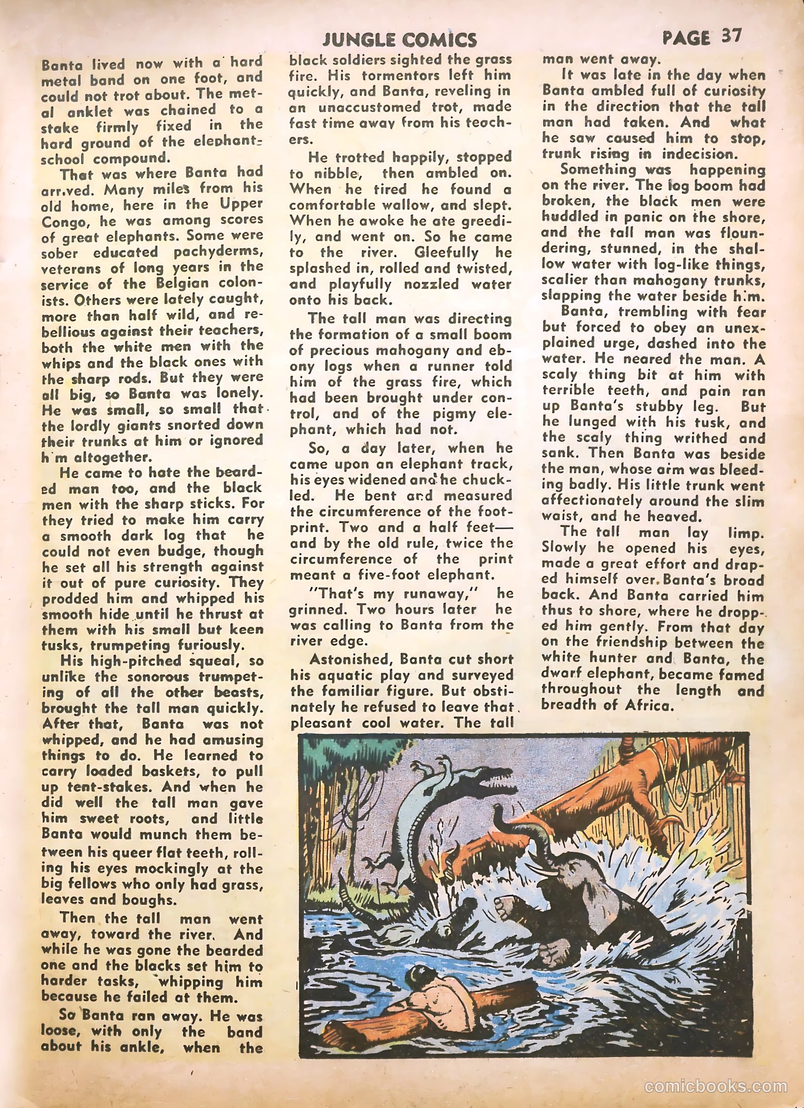 Jungle Comics #16 (1941) — page 39 of 68
