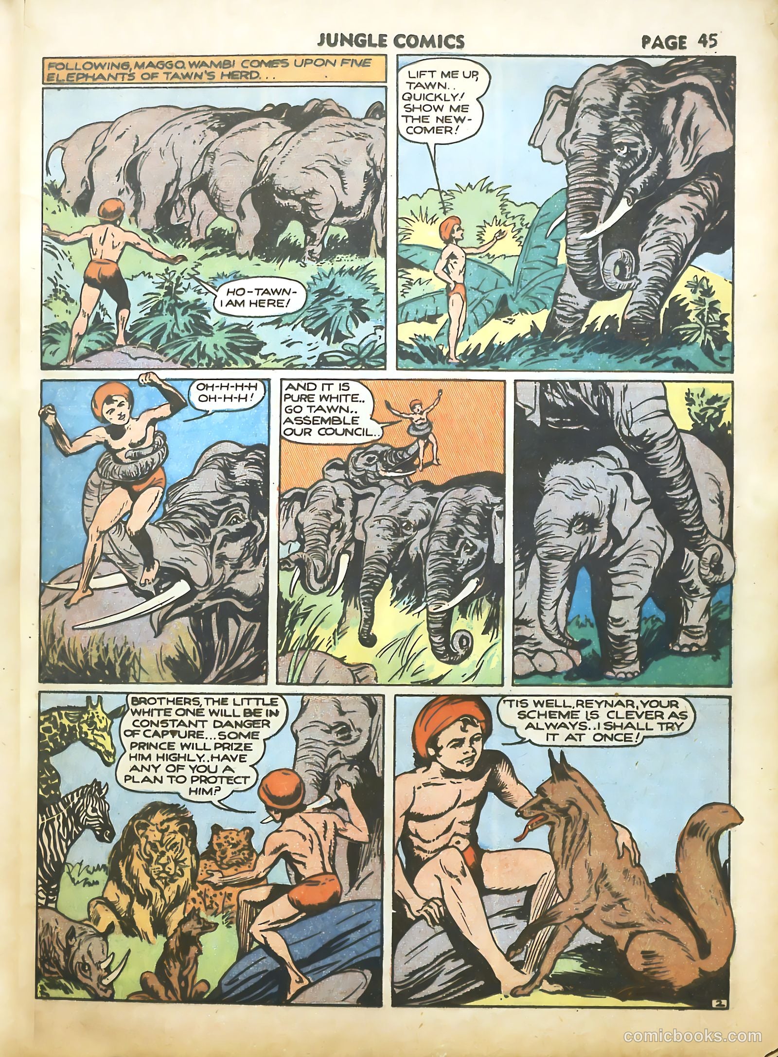 Jungle Comics #16 (1941) — page 47 of 68