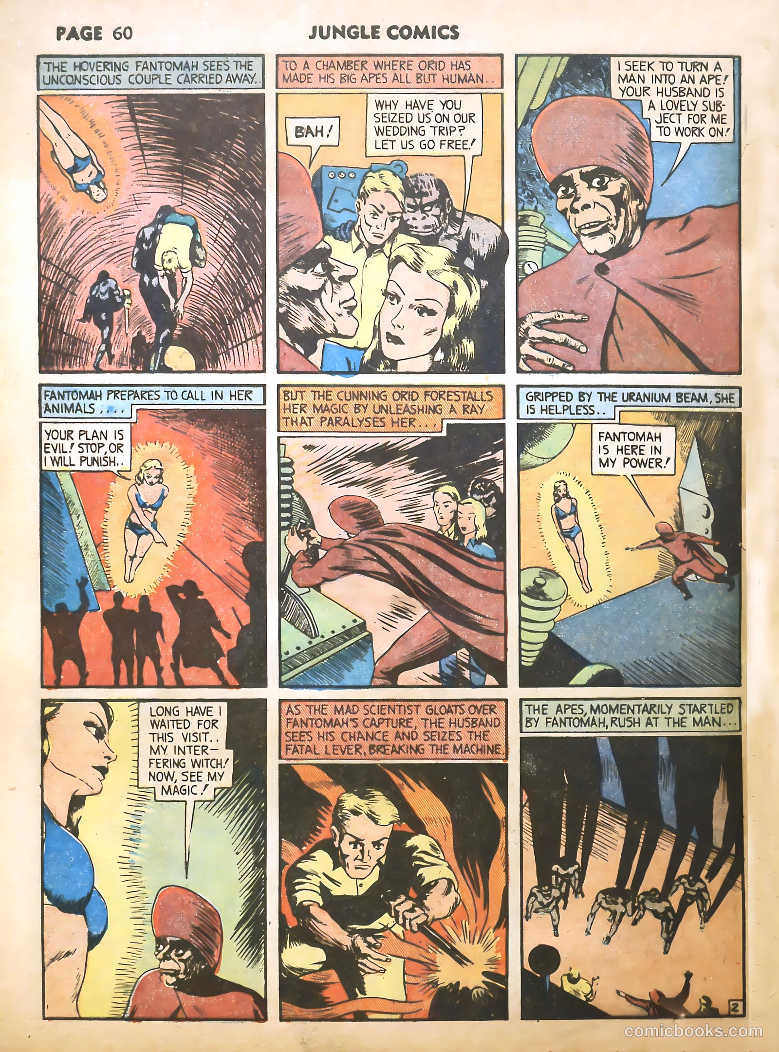 Jungle Comics #16 (1941) — page 62 of 68