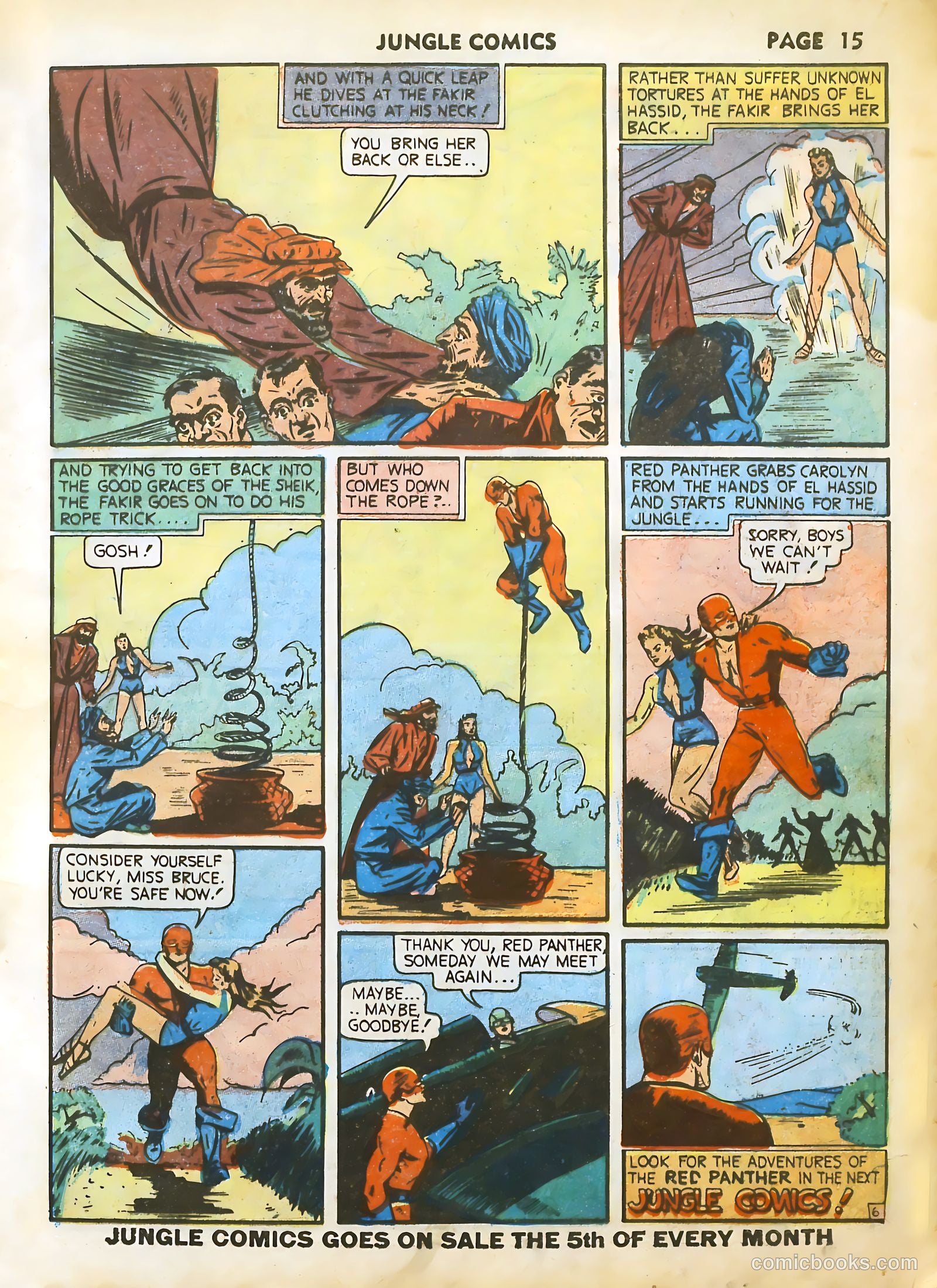 Jungle Comics #17 (1941) — page 17 of 68