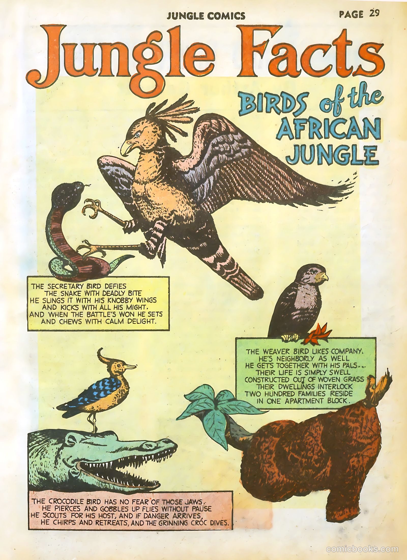 Jungle Comics #17 (1941) — page 31 of 68