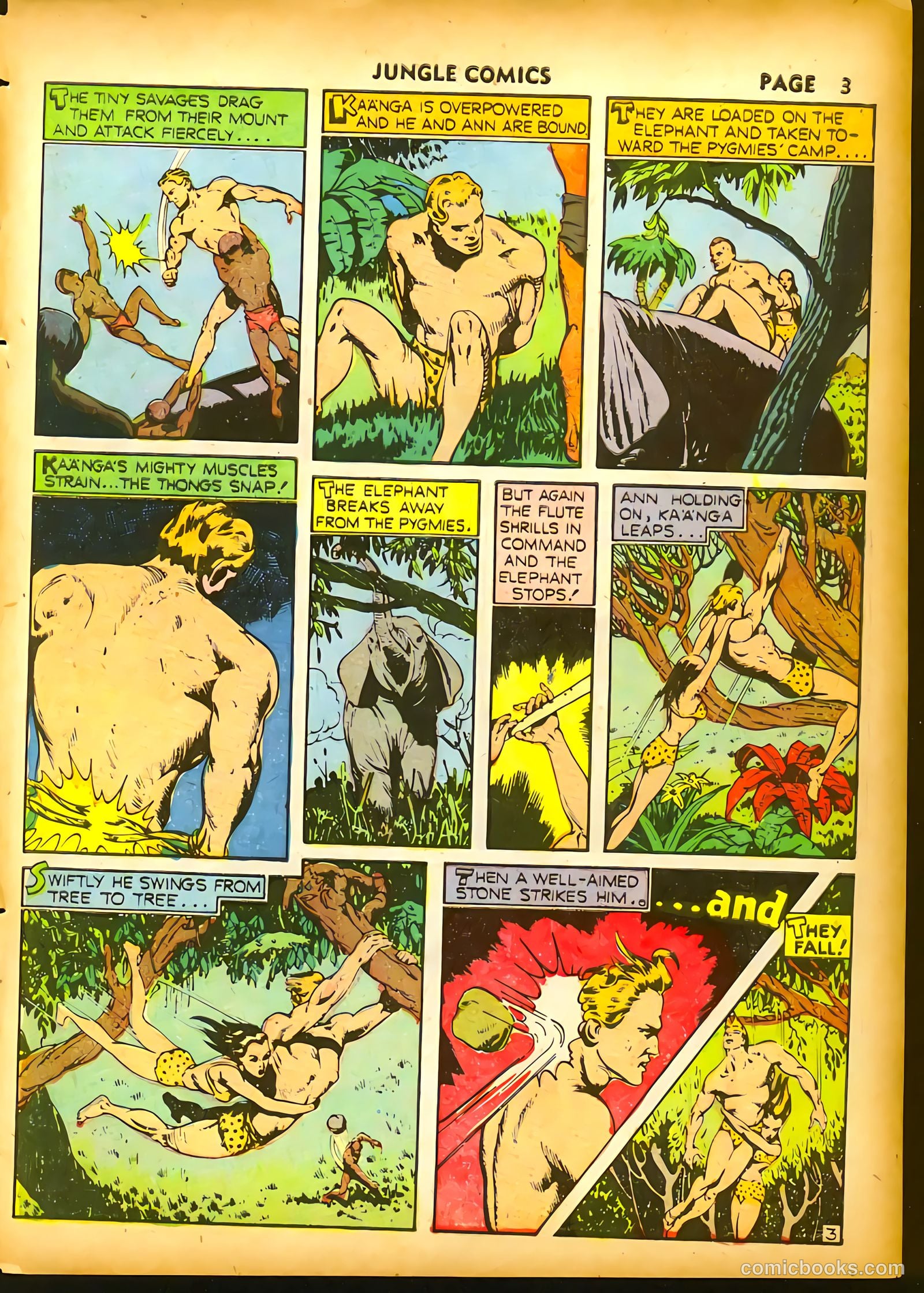 Jungle Comics #18 (1941) — page 5 of 68