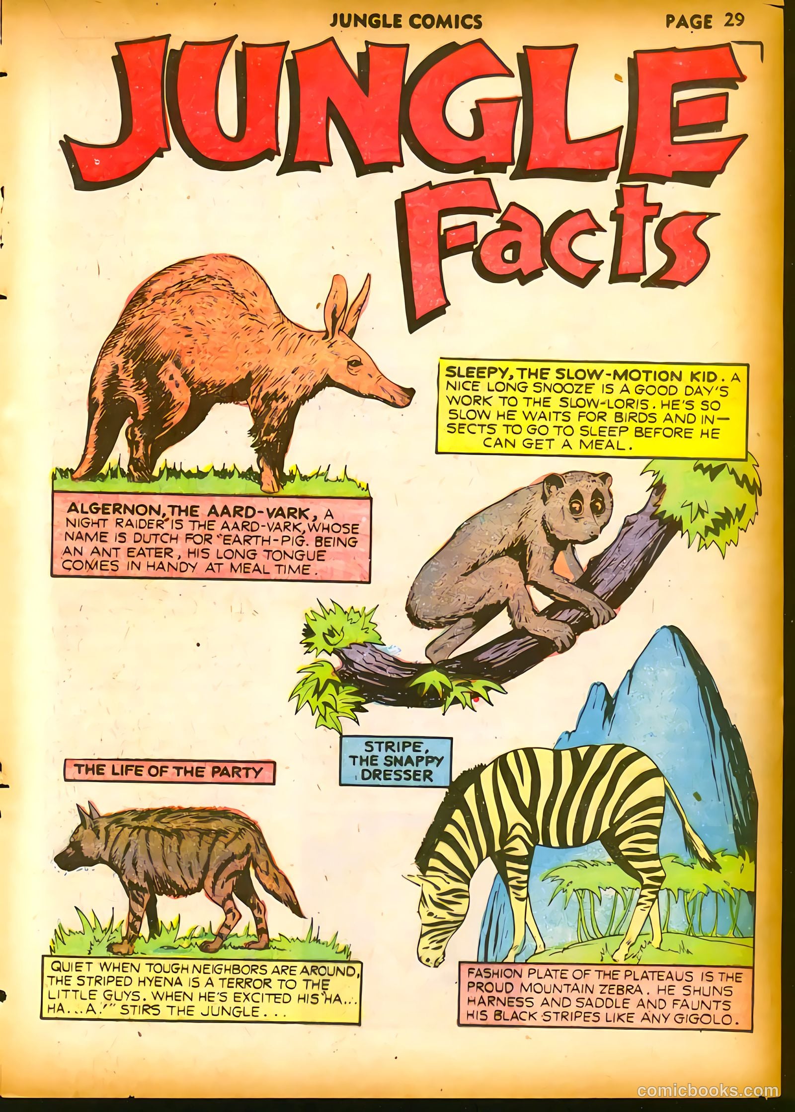 Jungle Comics #18 (1941) — page 31 of 68