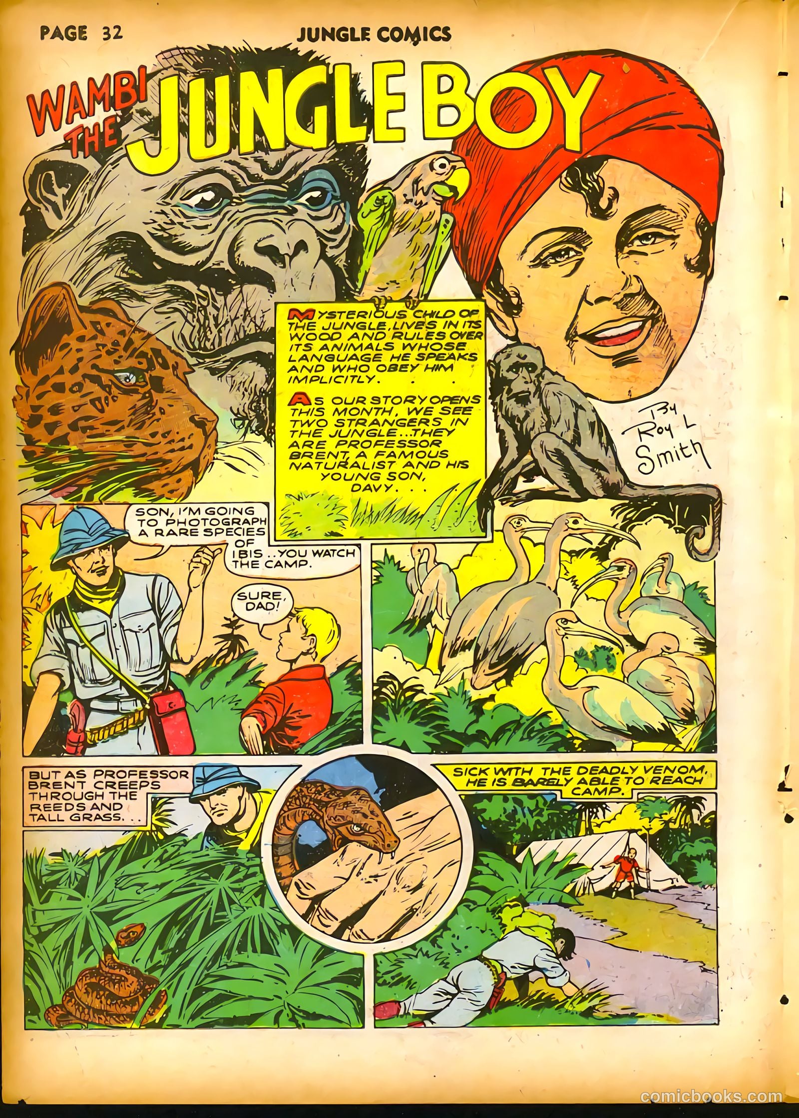 Jungle Comics #18 (1941) — page 34 of 68