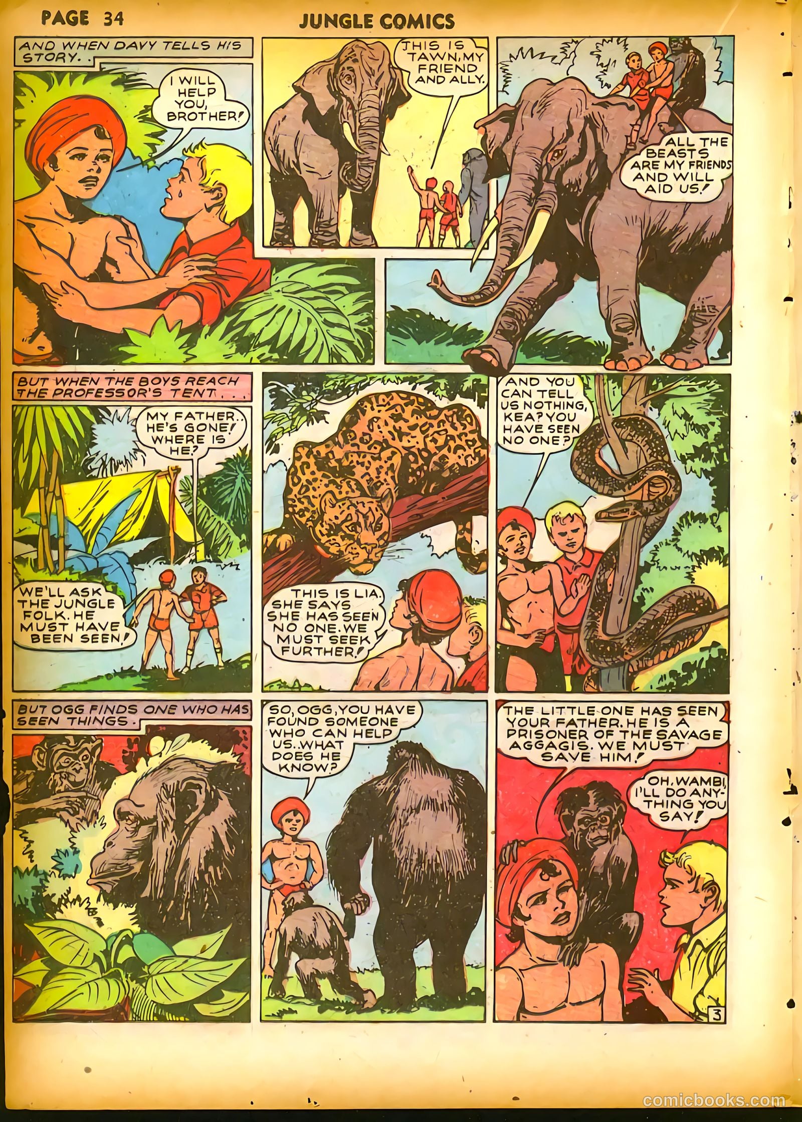 Jungle Comics #18 (1941) — page 36 of 68