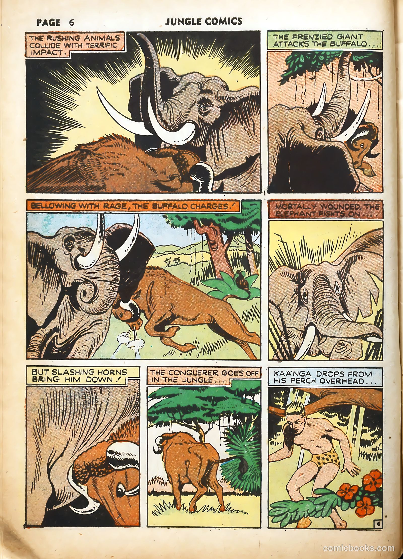 Jungle Comics #19 (1941) — page 9 of 69