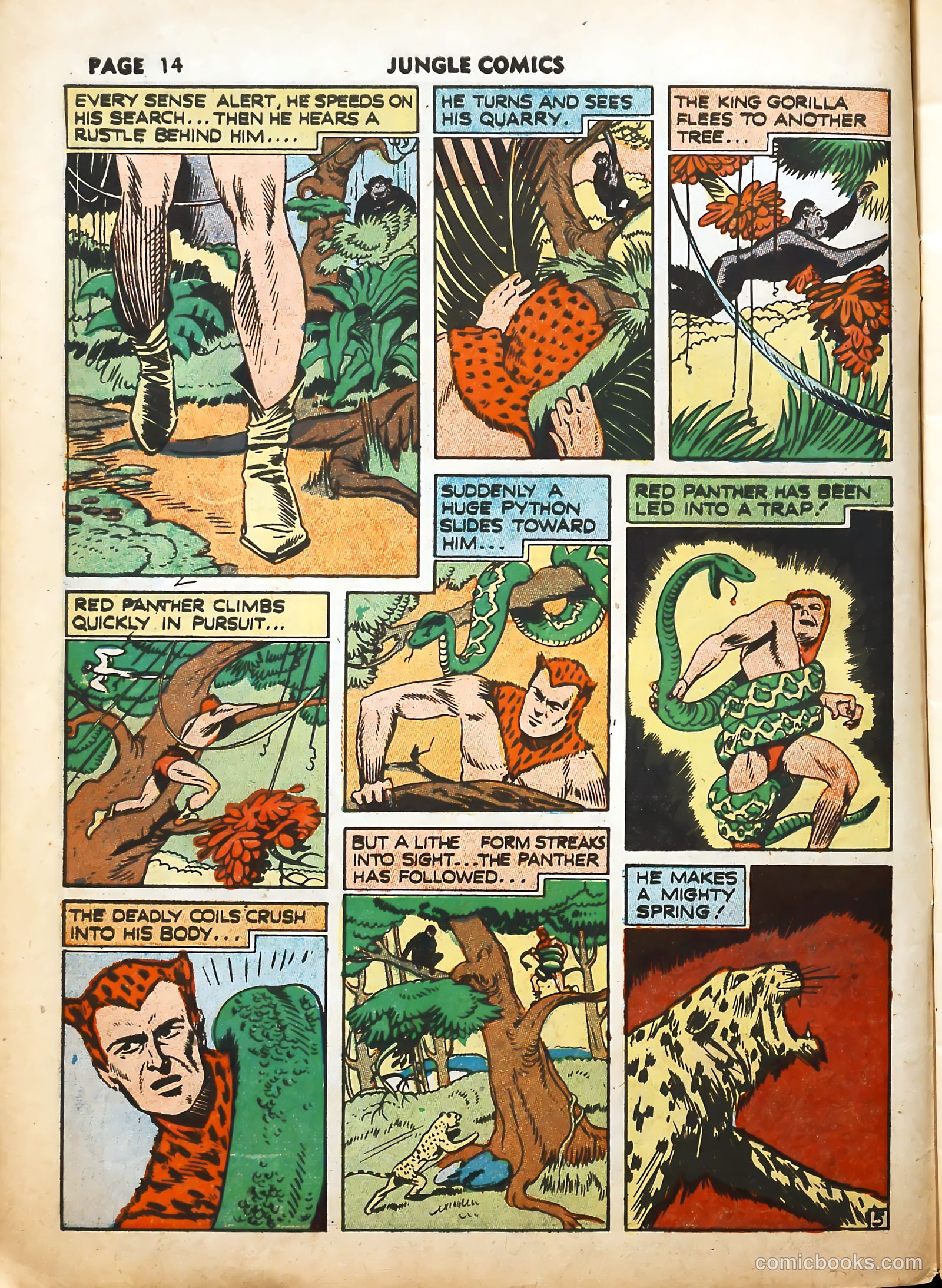 Jungle Comics #19 (1941) — page 17 of 69
