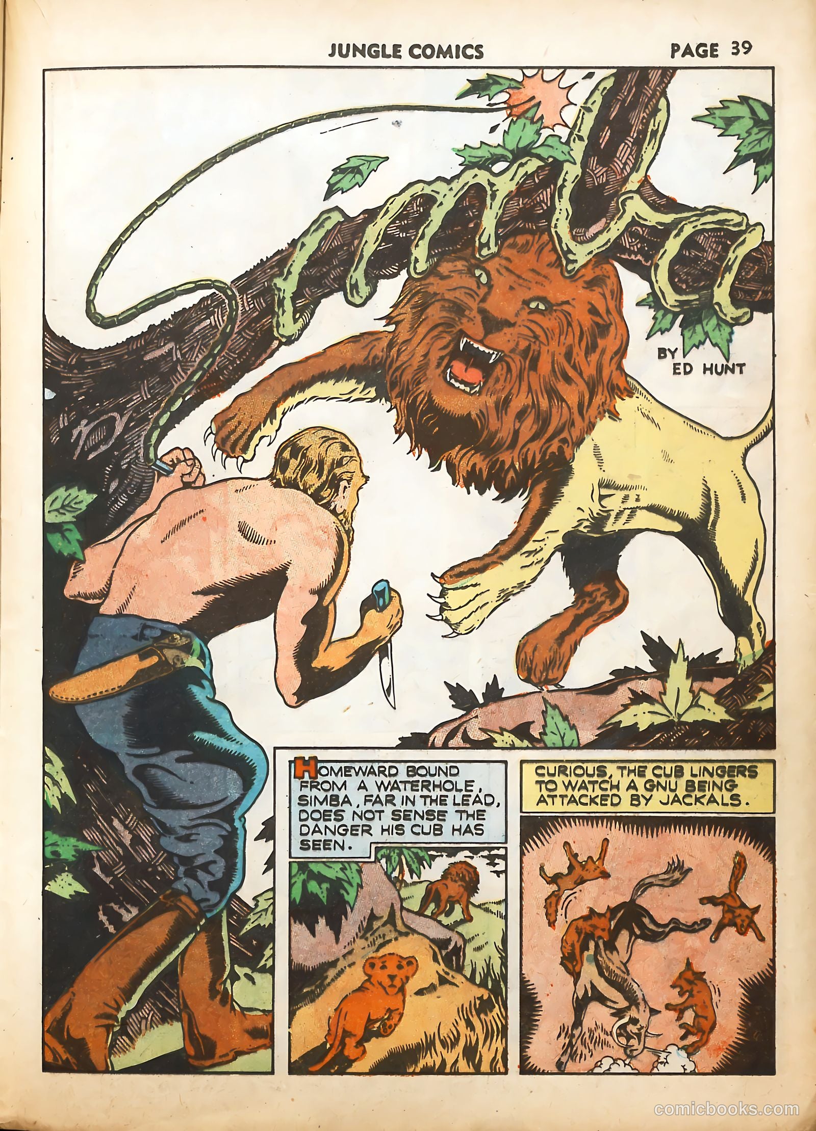 Jungle Comics #19 (1941) — page 42 of 69
