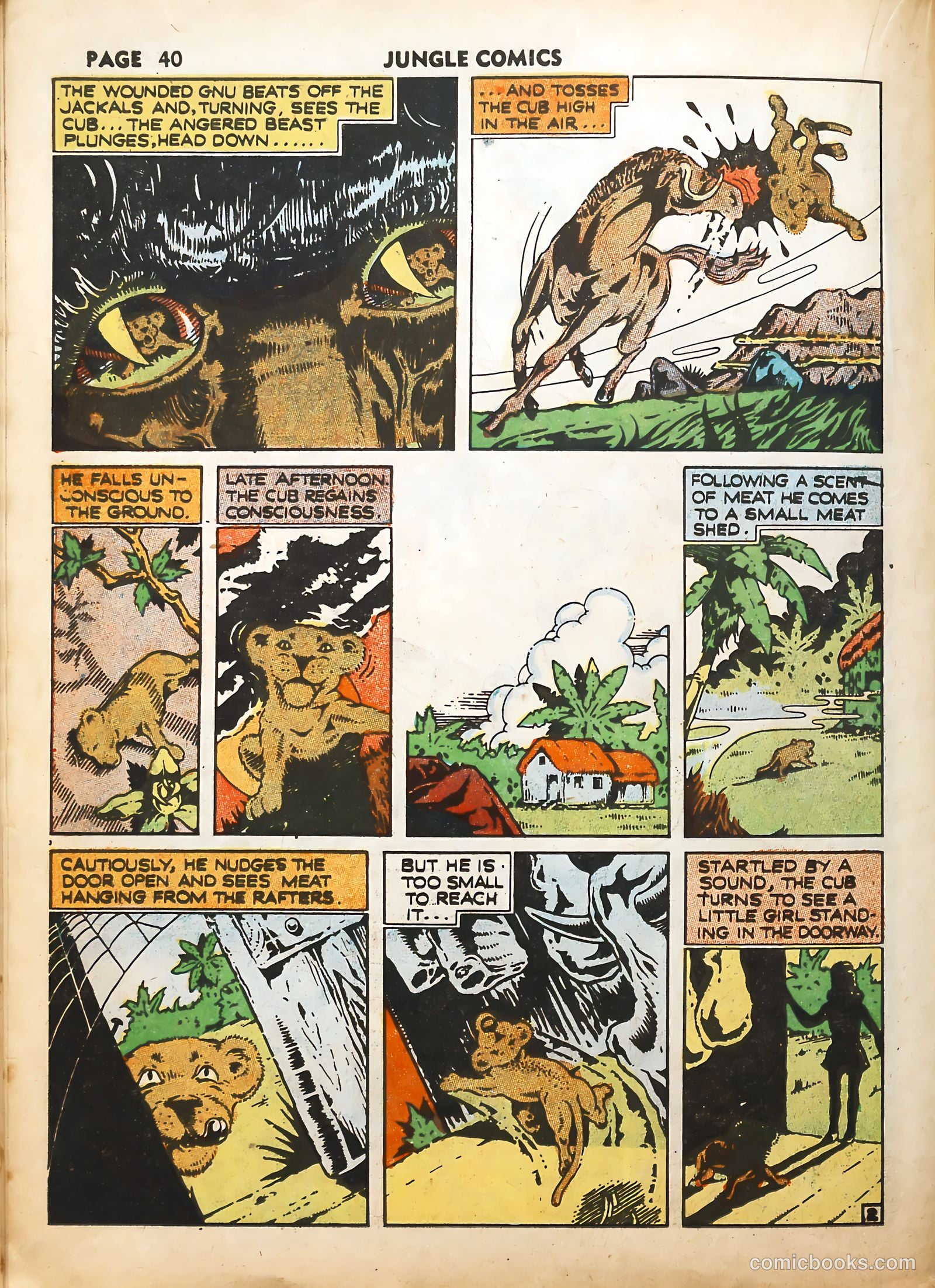 Jungle Comics #19 (1941) — page 43 of 69