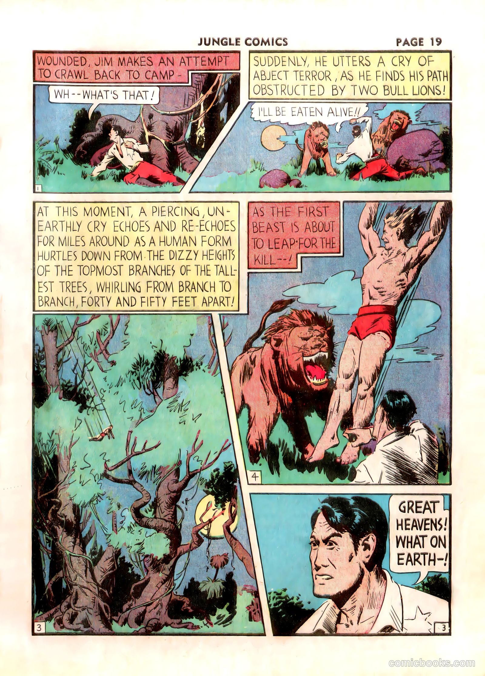 Jungle Comics #2 (1940) — page 21 of 69