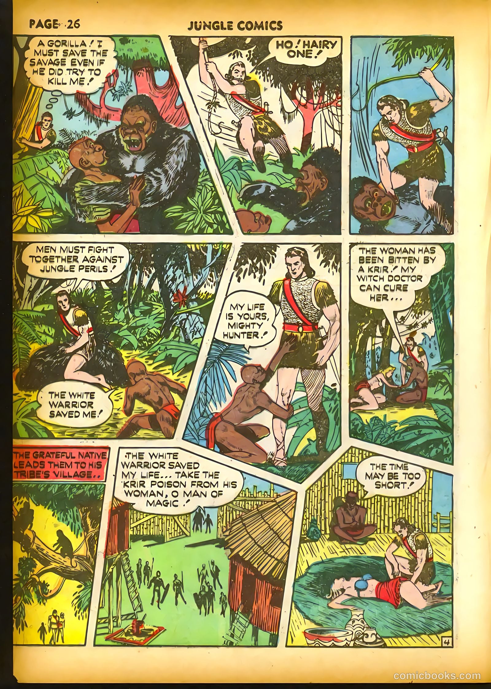 Jungle Comics #20 (1941) — page 28 of 68