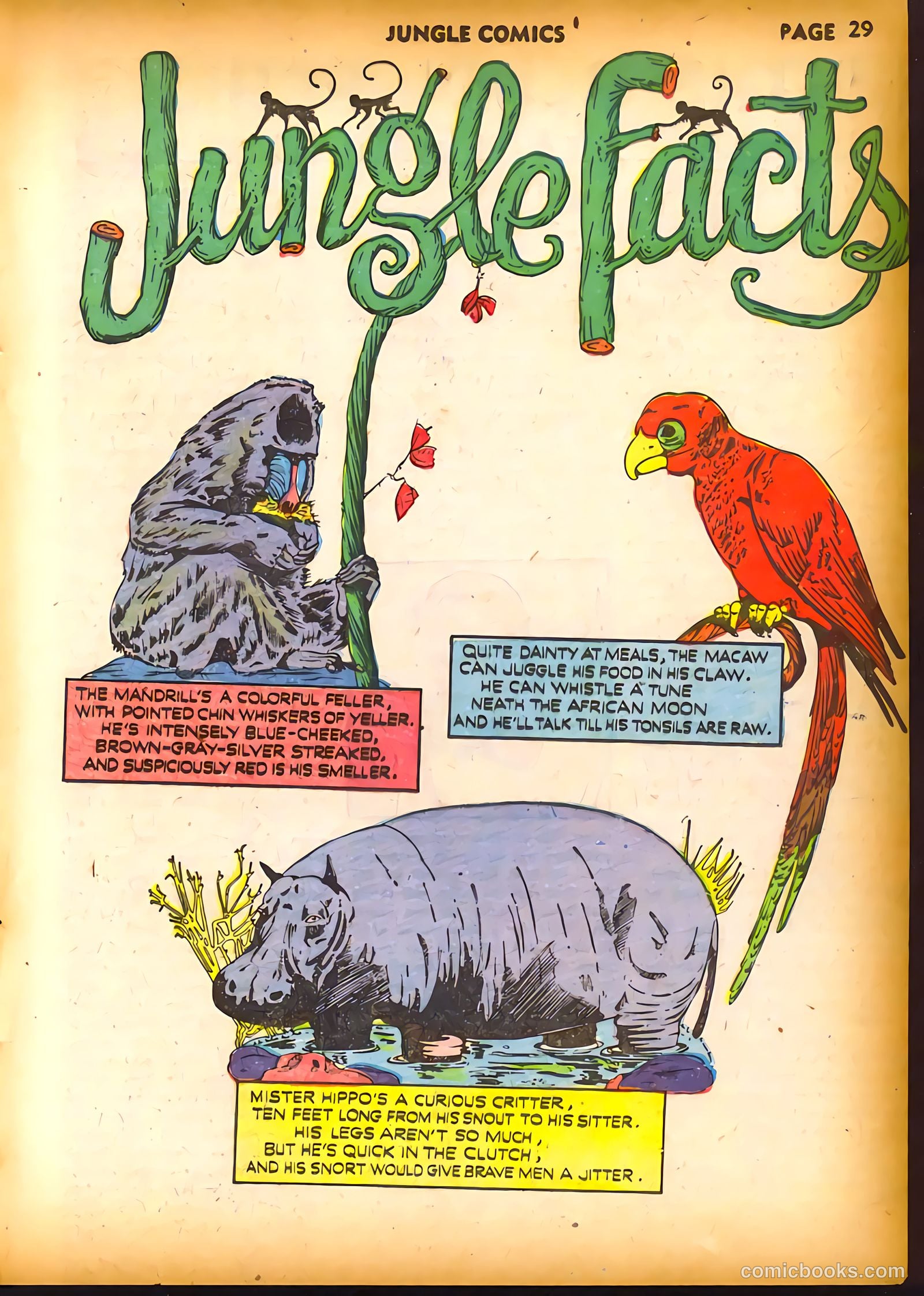 Jungle Comics #20 (1941) — page 31 of 68