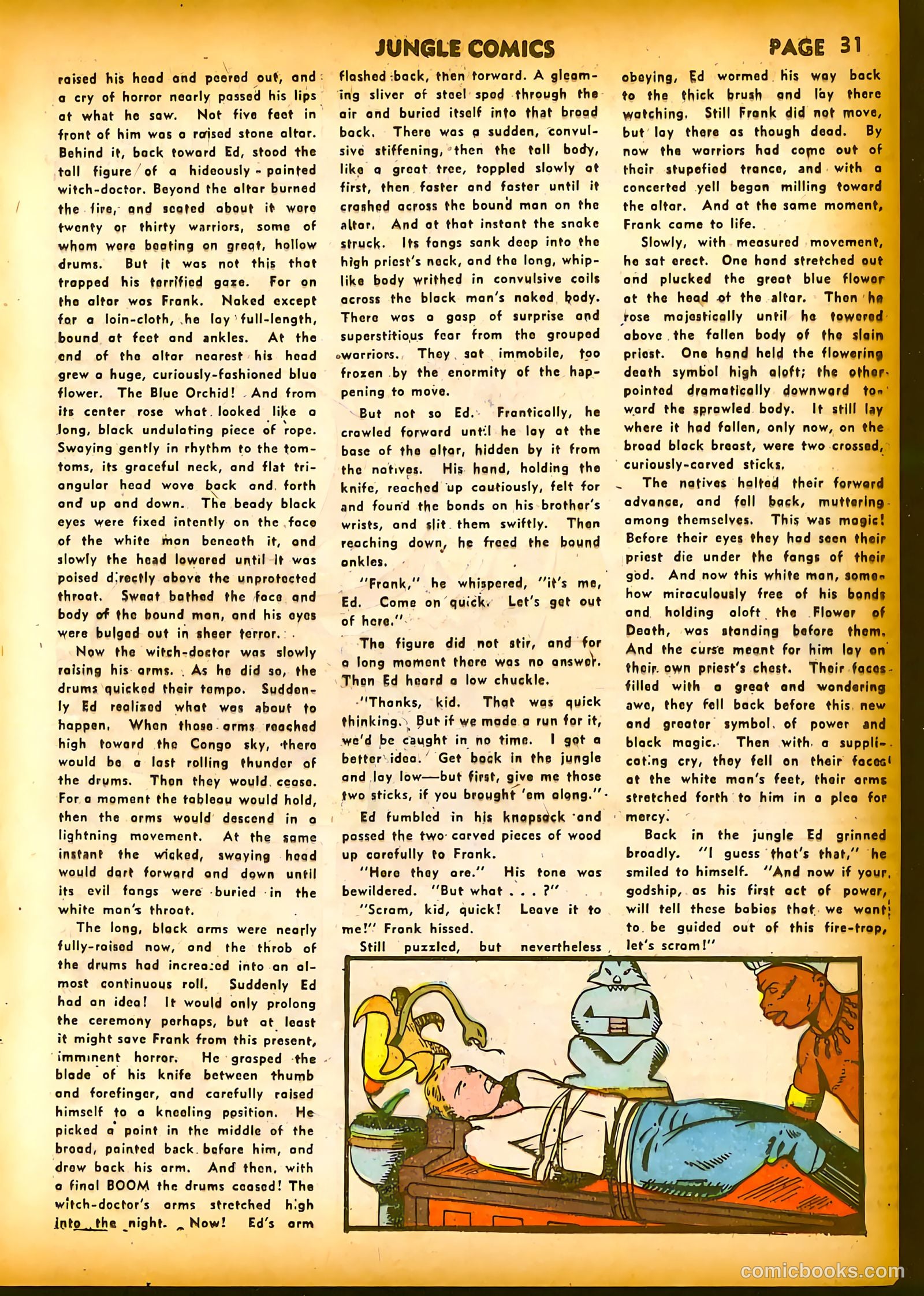 Jungle Comics #20 (1941) — page 33 of 68