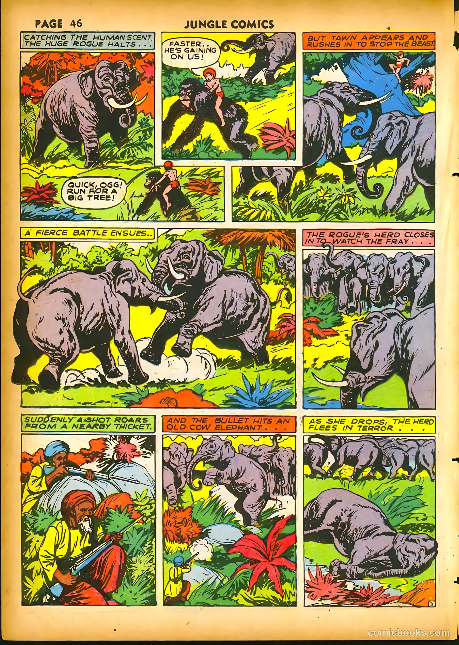 Jungle Comics #20 (1941) — page 48 of 68